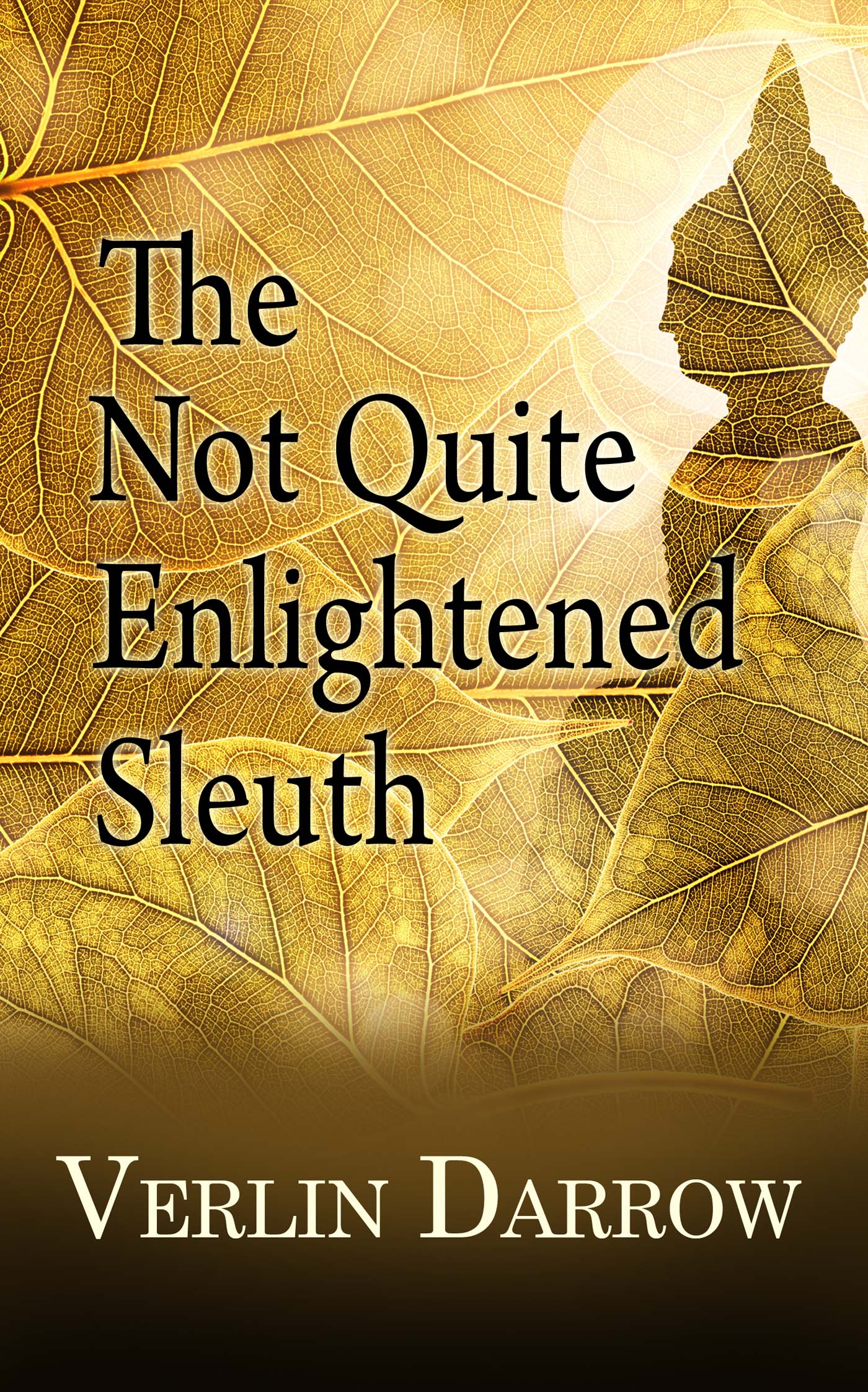 The Not Quite Enlightened Sleuth image 0