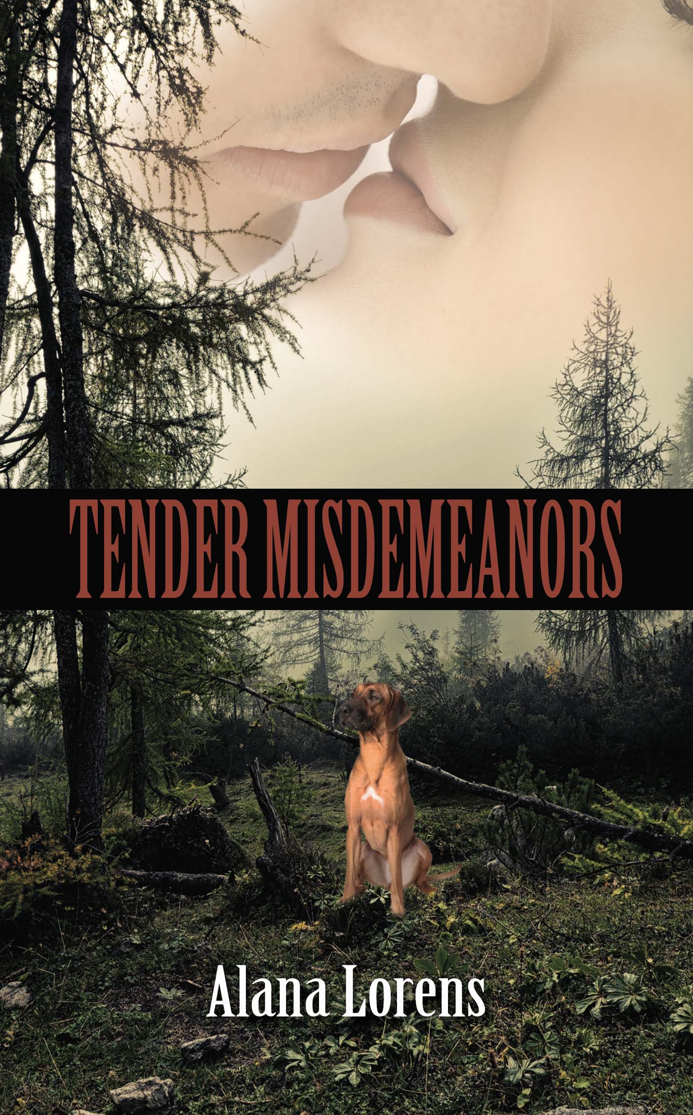 Tender Misdemeanors image 0