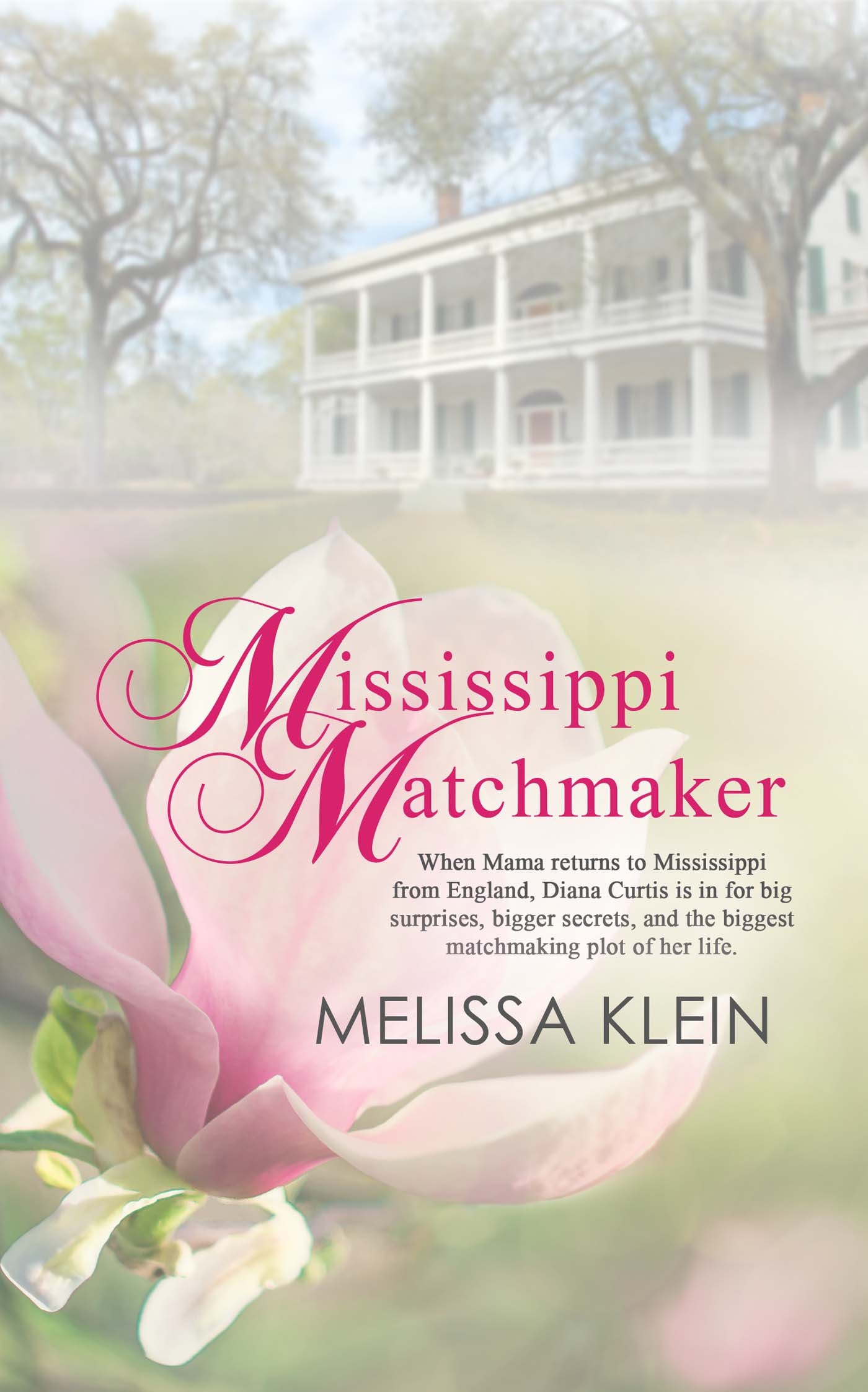 Mississippi Matchmaker image 0