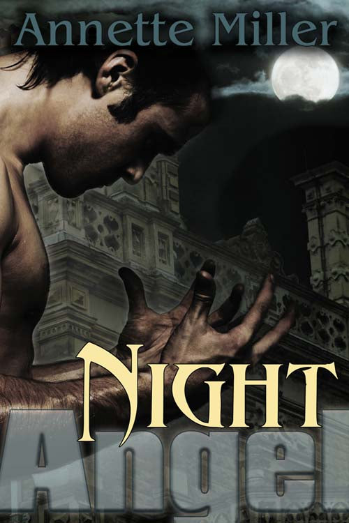 Night Angel image 0