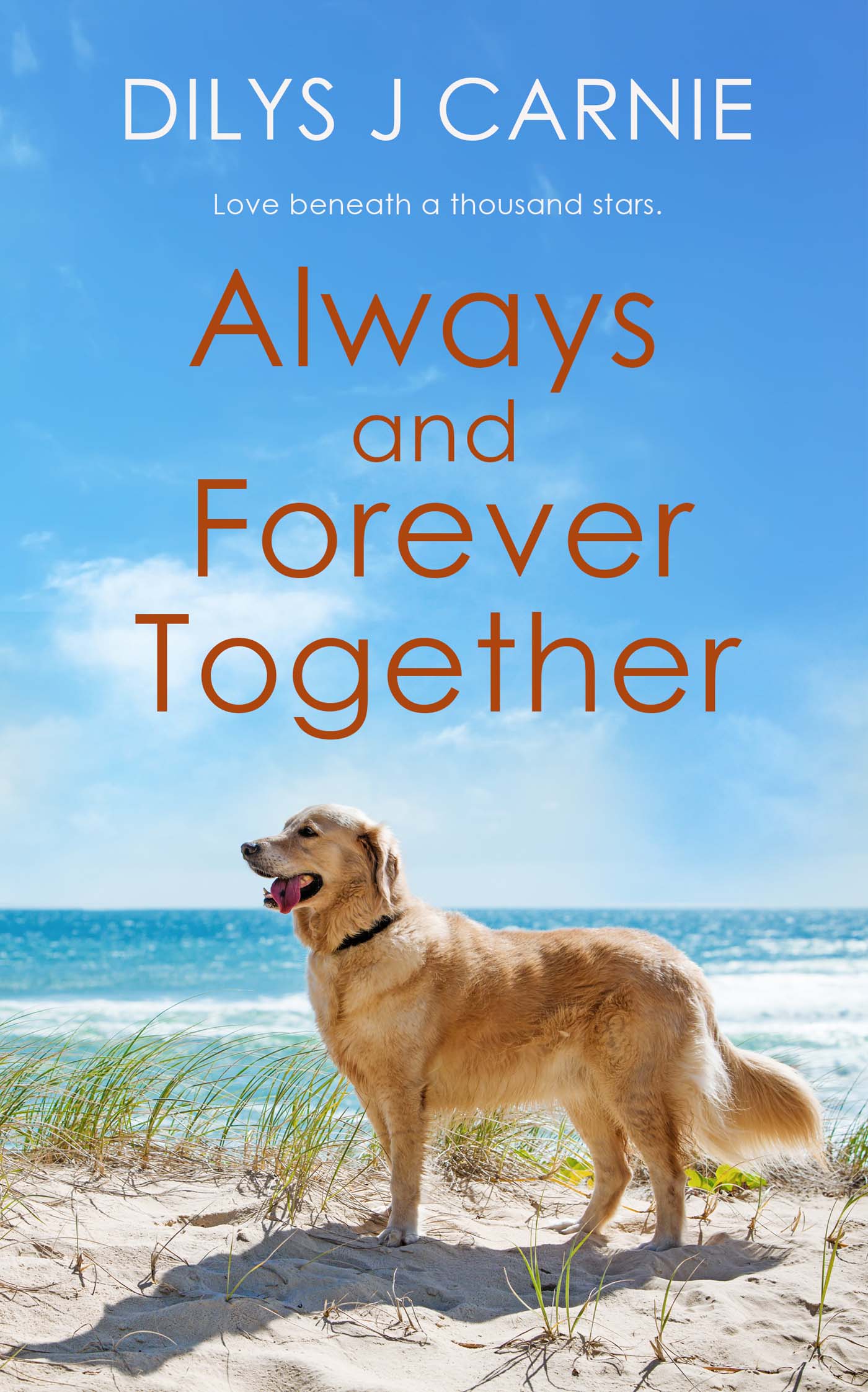 Always and Forever Together image 0