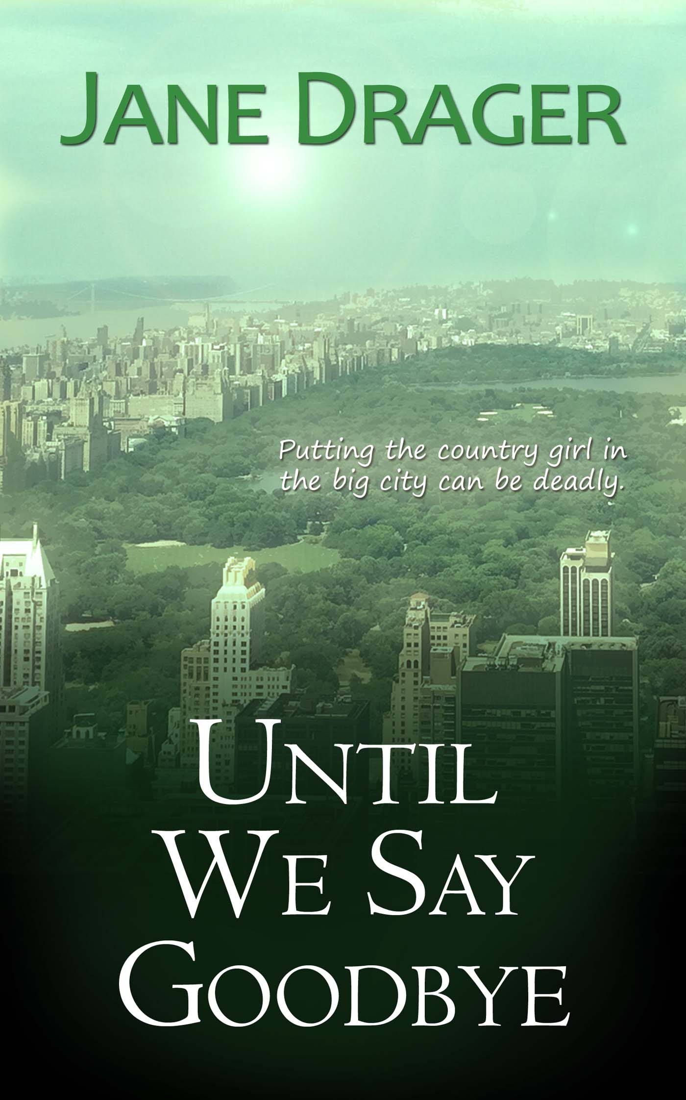 Until We Say Goodbye image 0