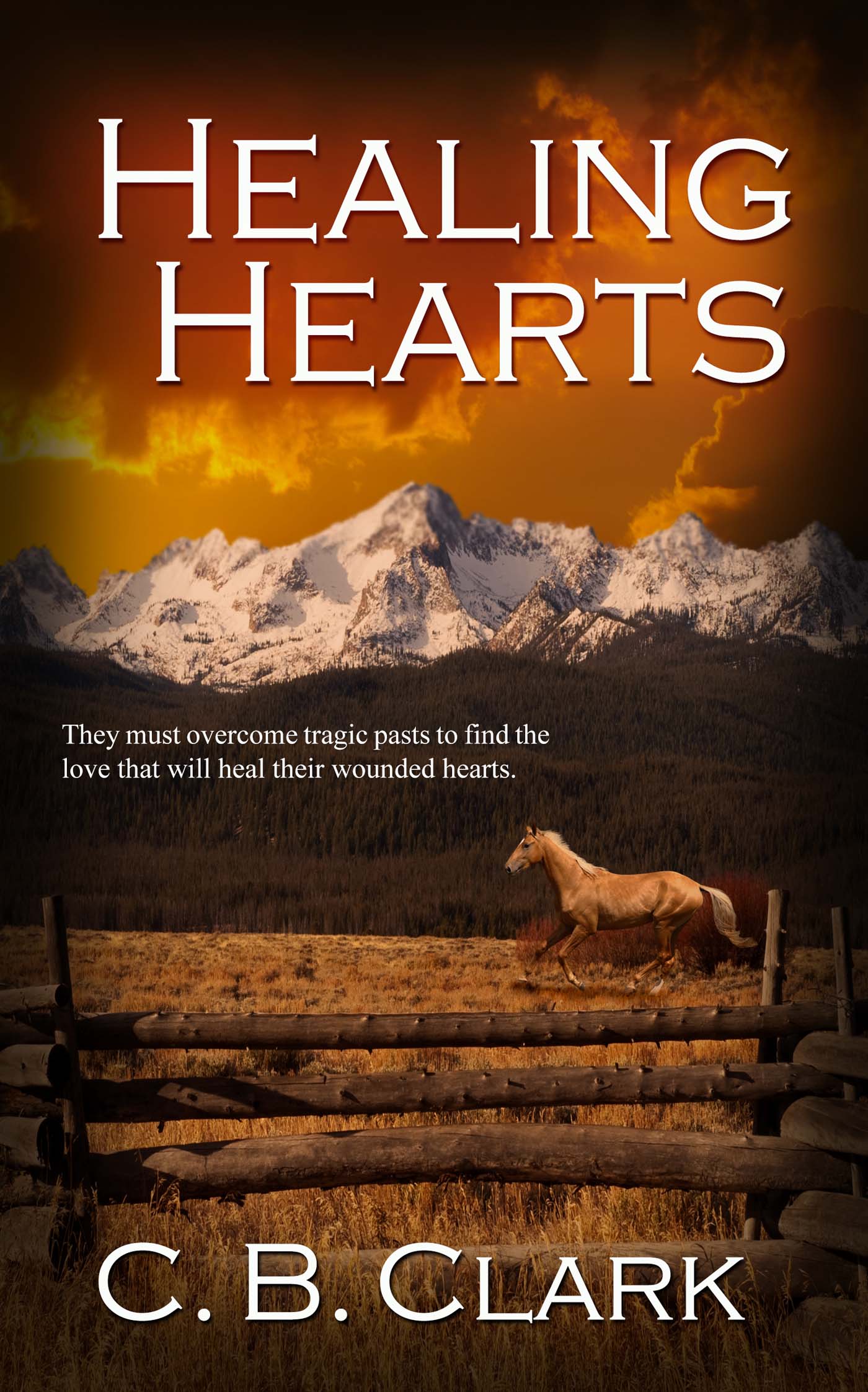Healing Hearts image 0
