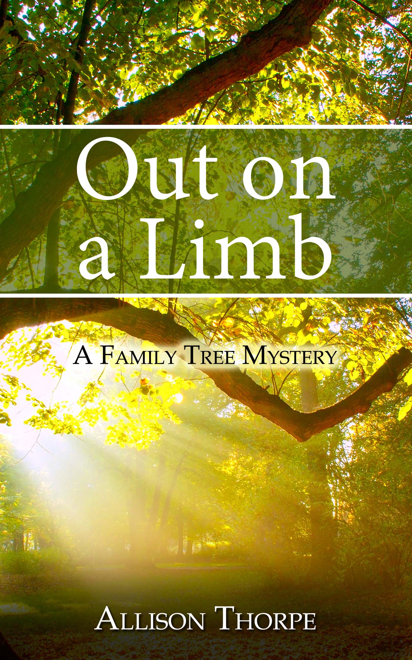 Out on a Limb image 0