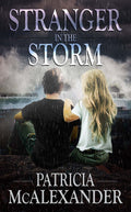 Stranger in the Storm image 0