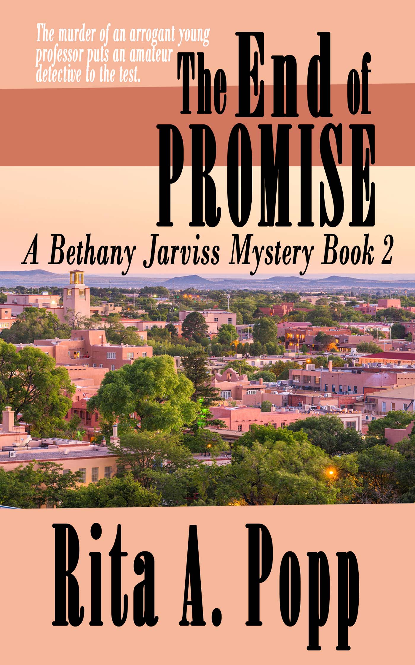 The End of Promise image 0