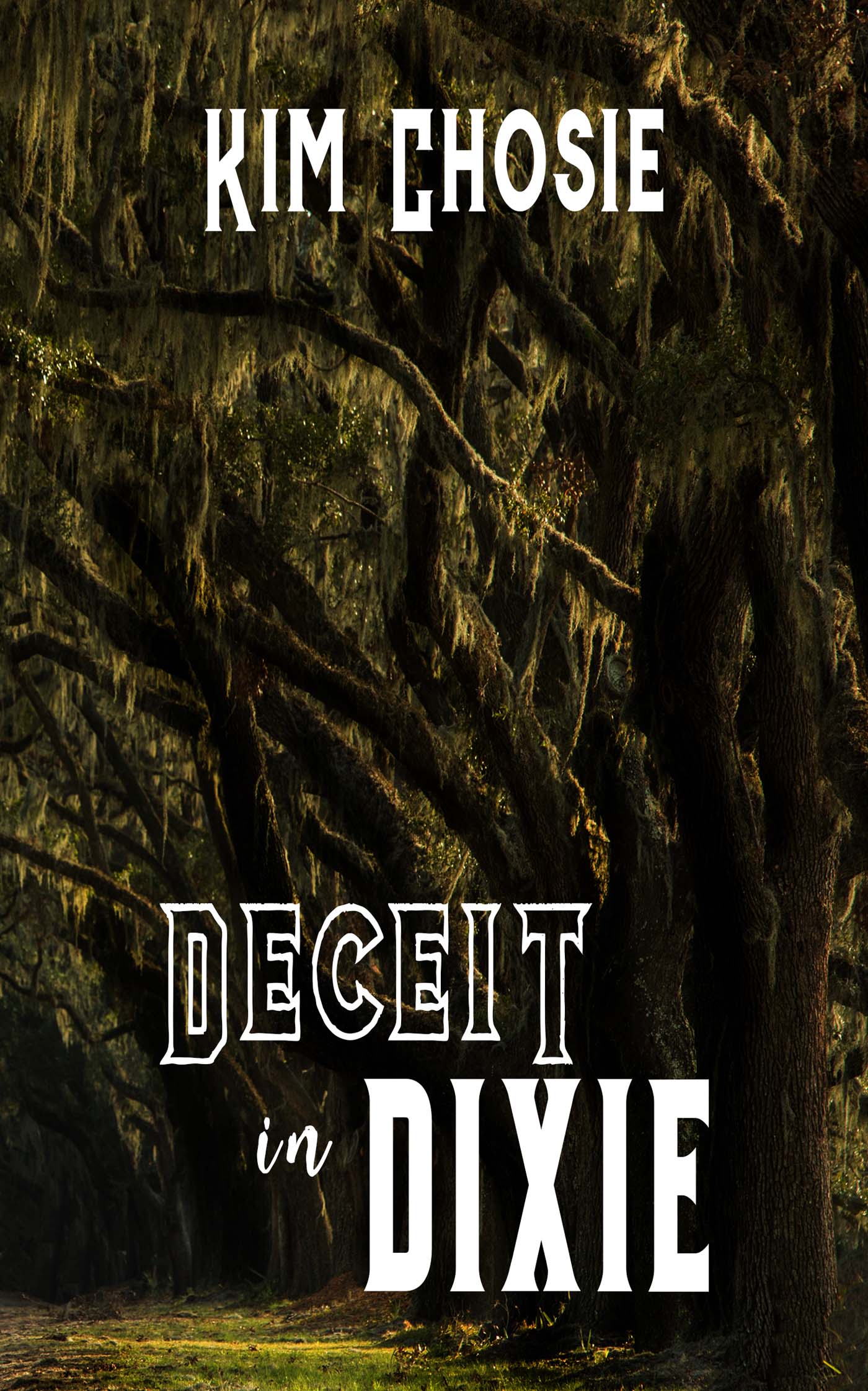 Deceit in Dixie image 0