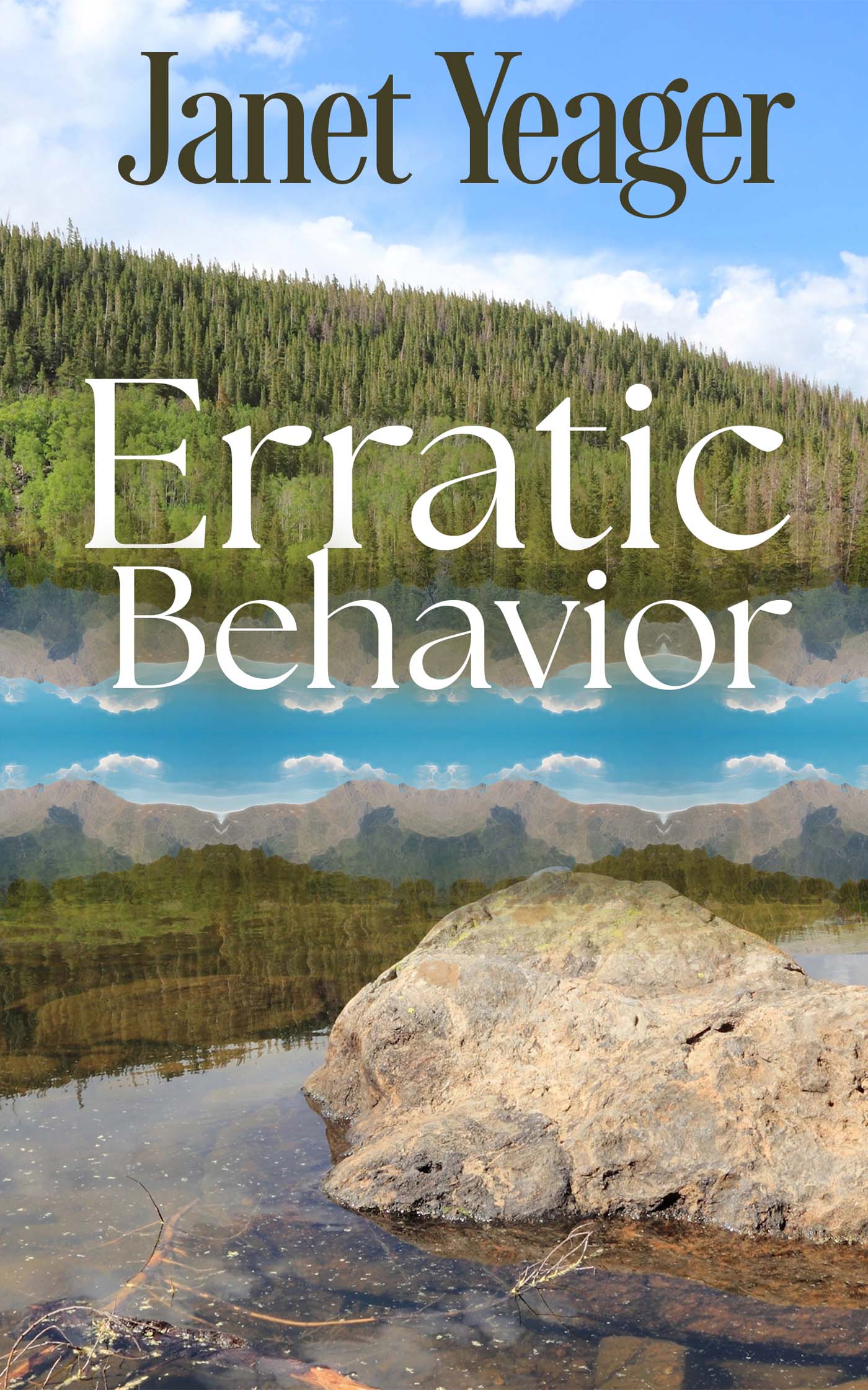 Erratic Behavior image 0