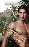 The Right Knight image 0