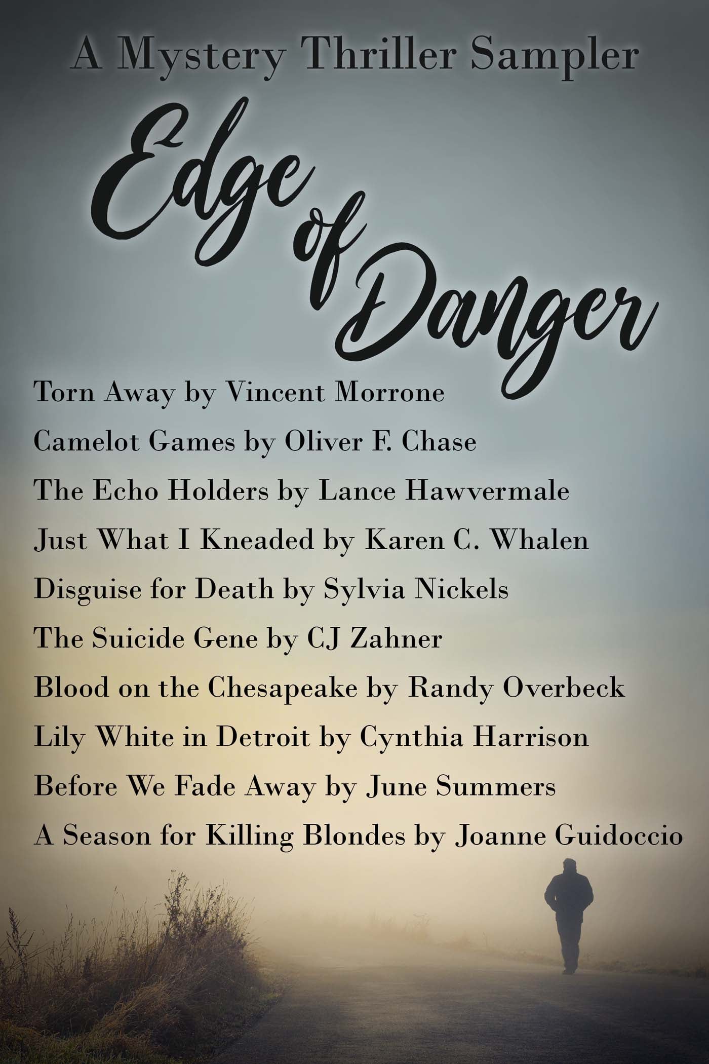 Edge of Danger image 0