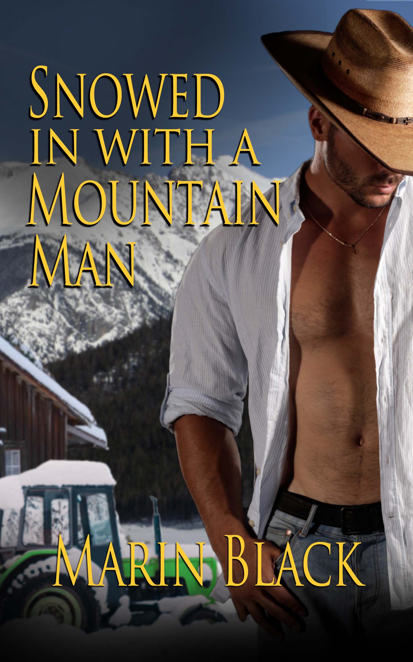 Snowed In with a Mountain Man image 0