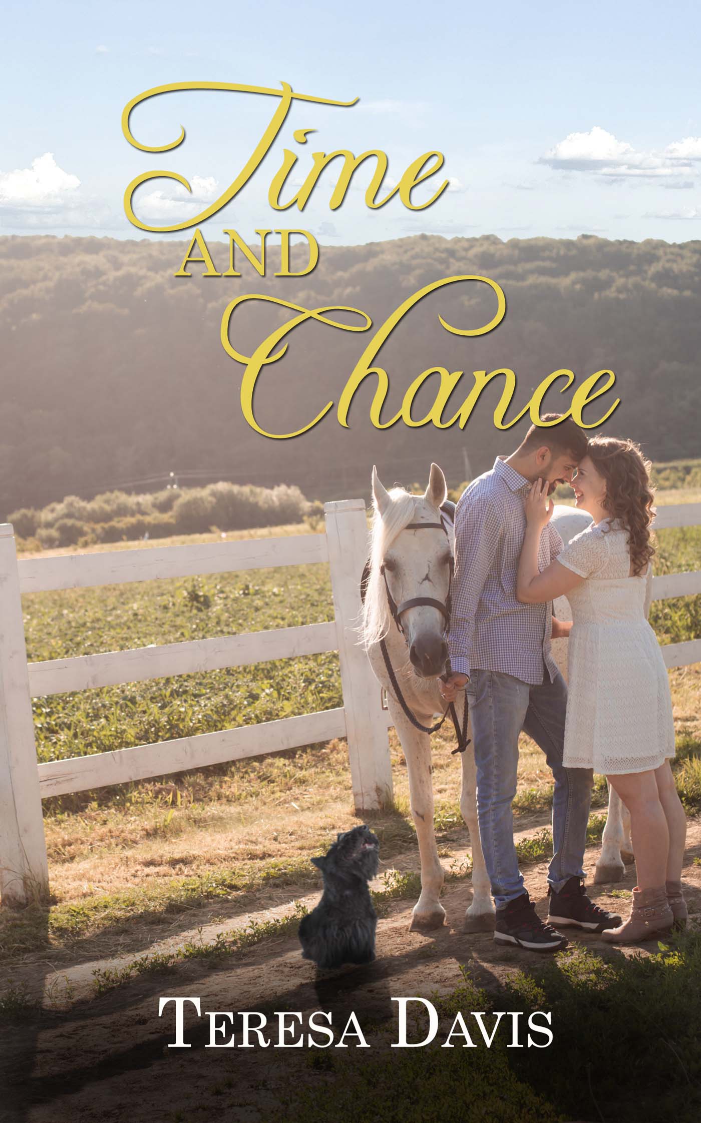 Time and Chance image 0