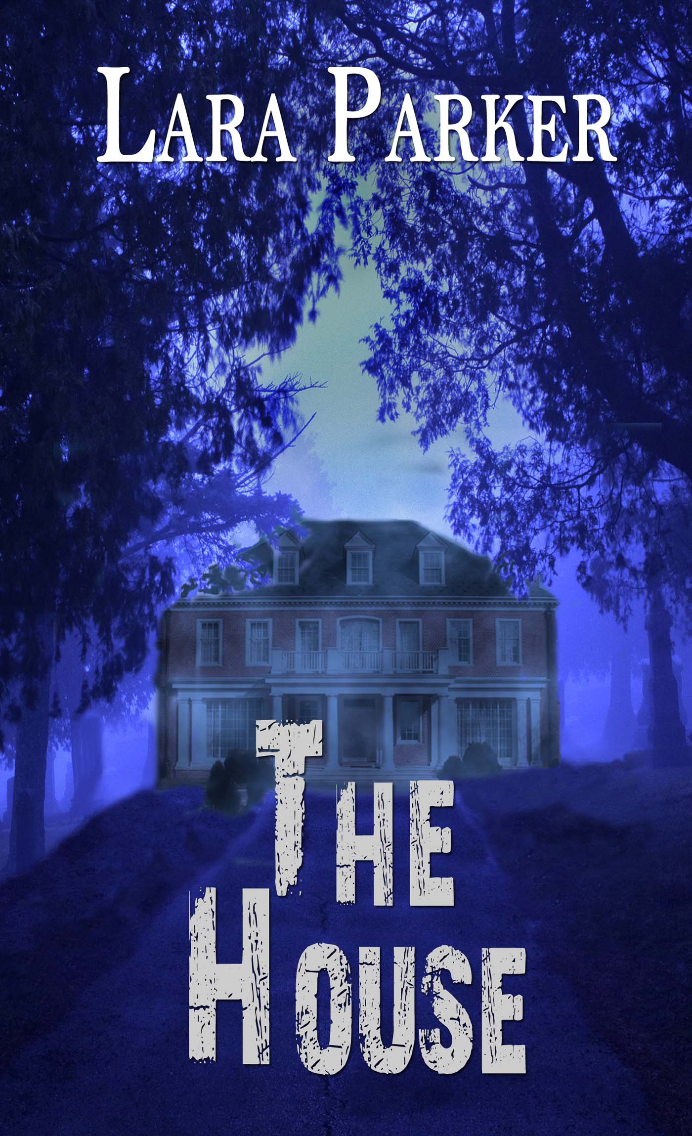 The House image 0