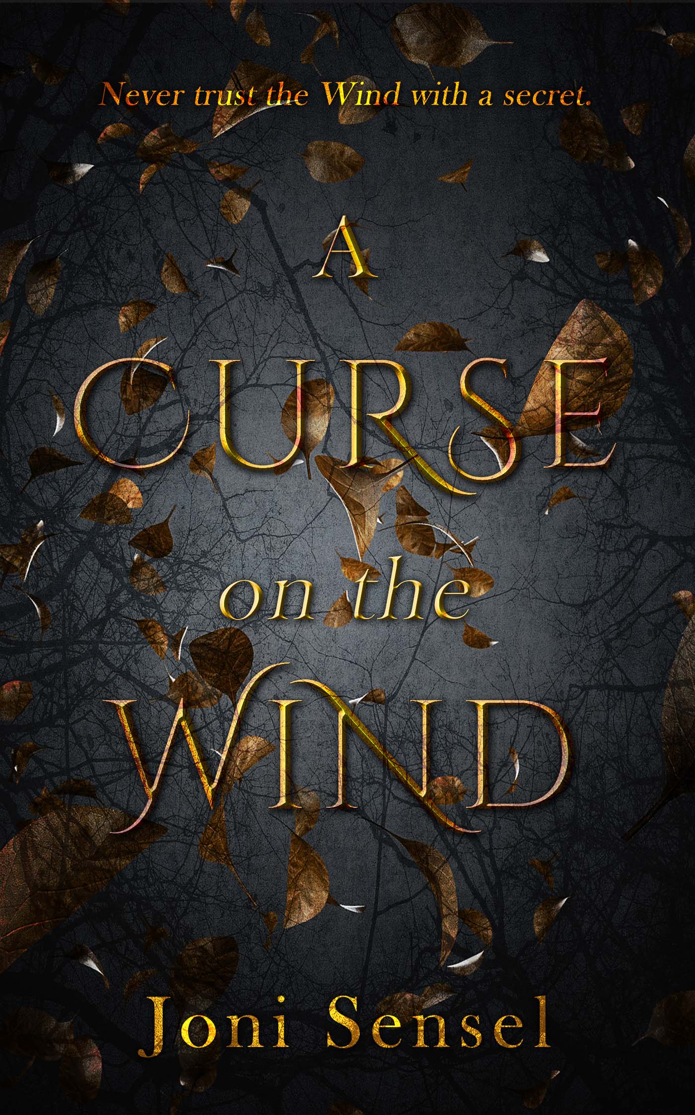 A Curse on the Wind image 0