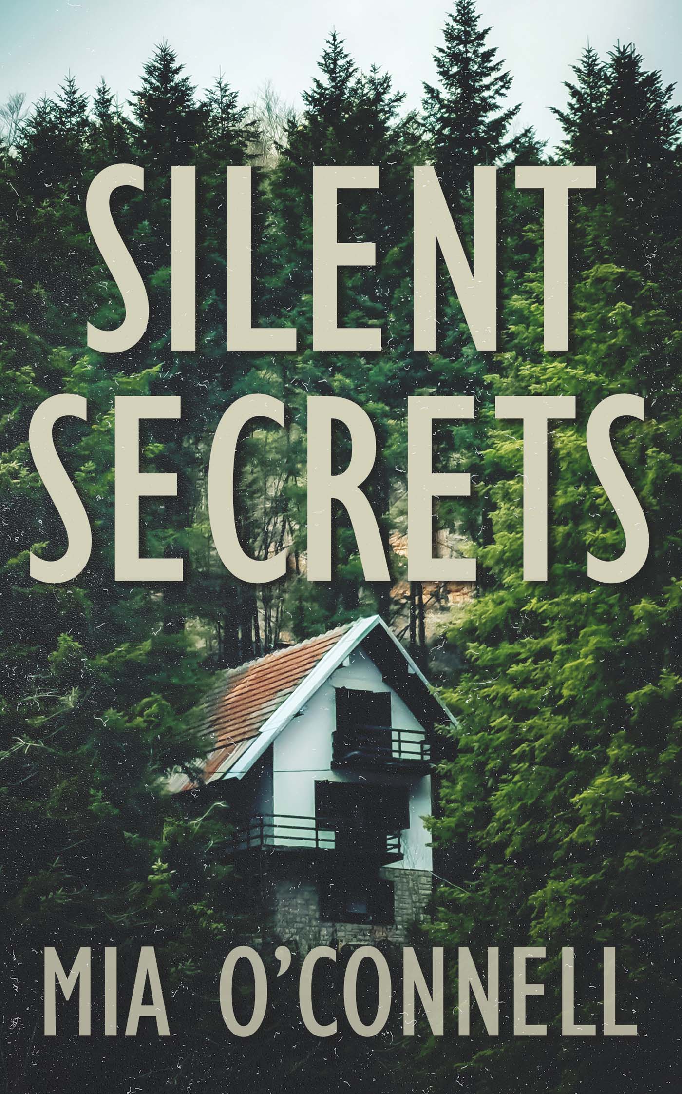 Silent Secrets image 0