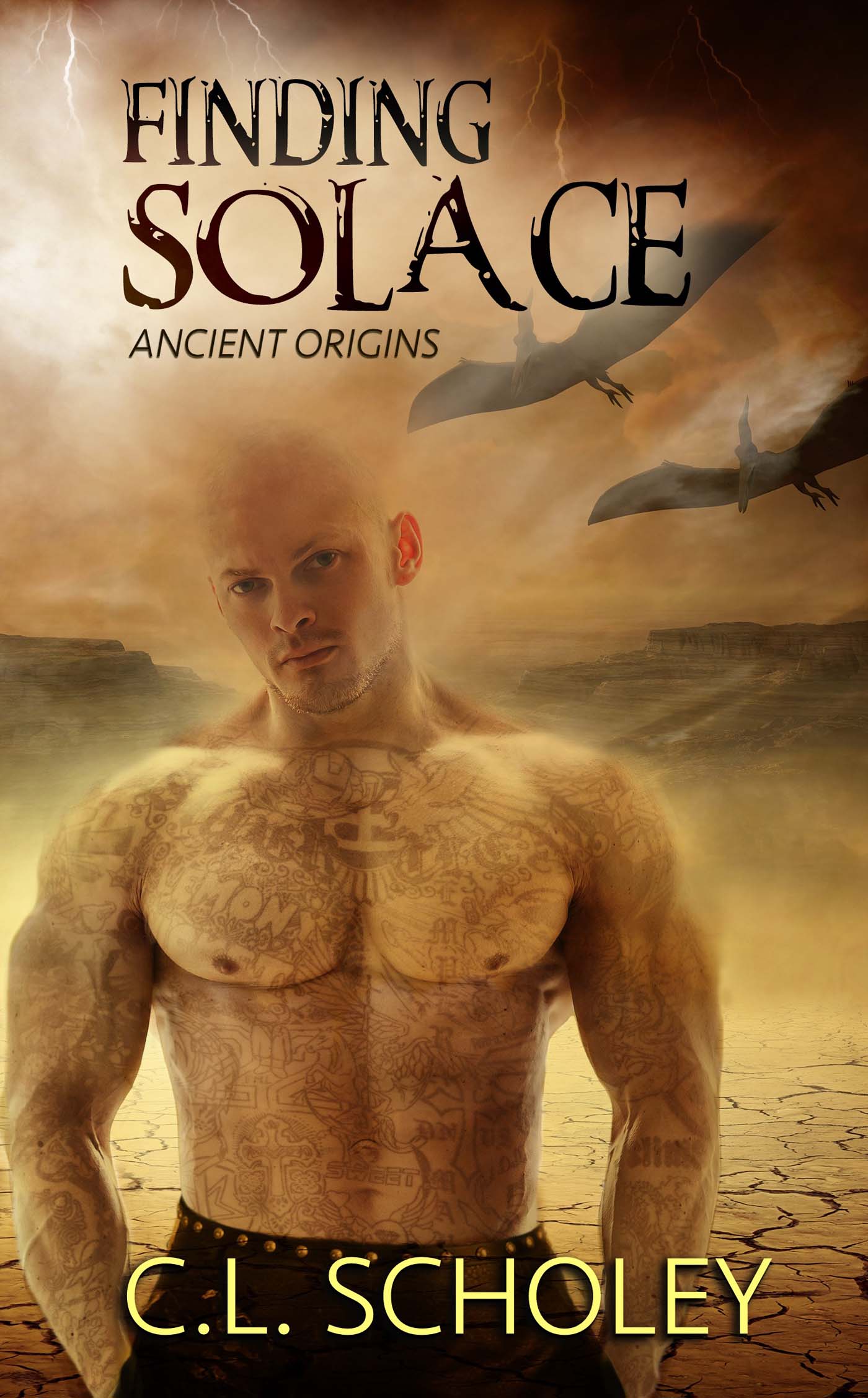 Finding Solace image 0