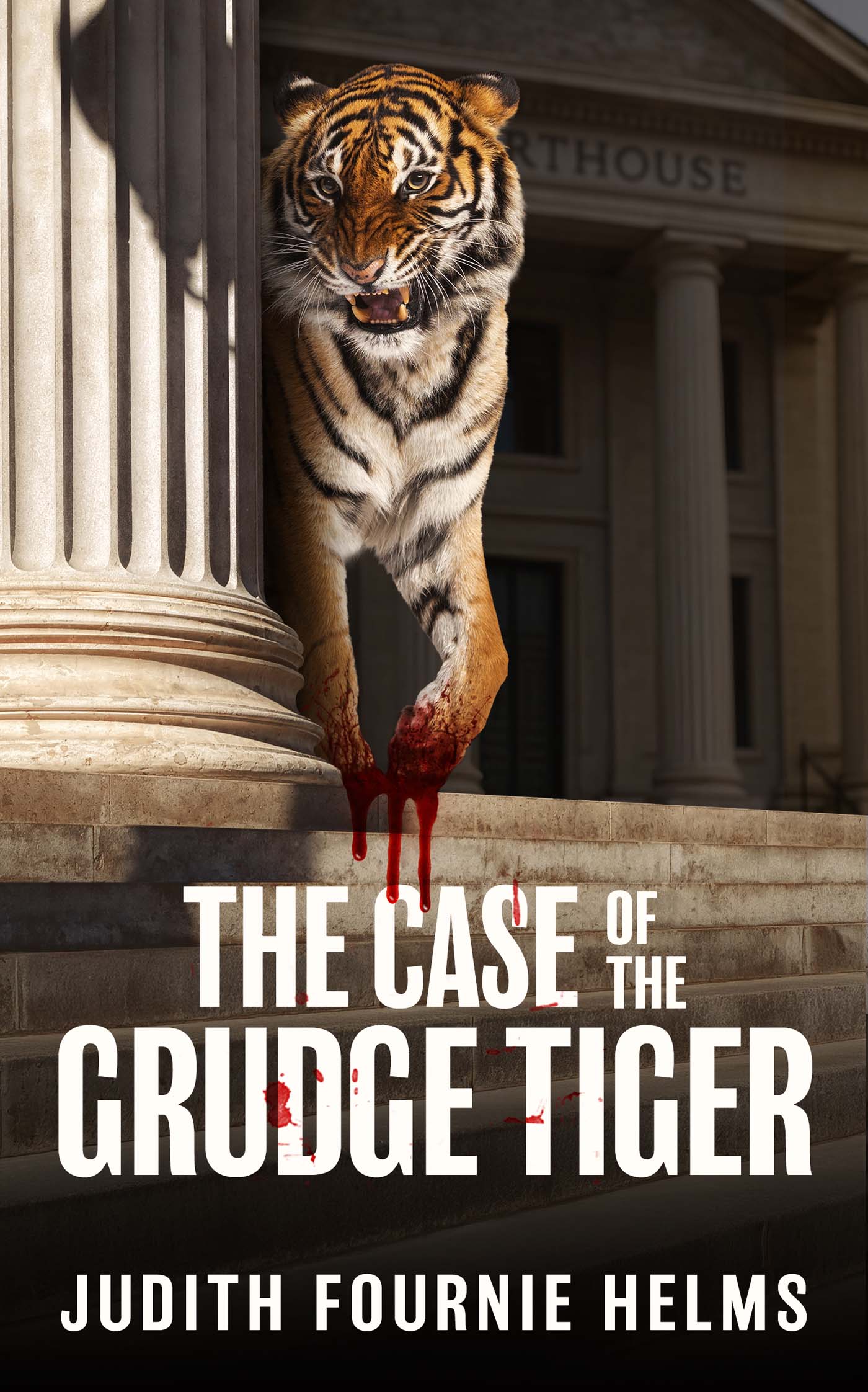 The Case of the Grudge Tiger image 0