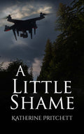 A Little Shame image 0