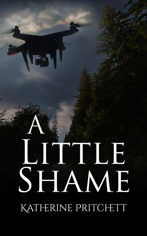 A Little Shame image 0