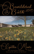 Bewildered in Bath image 0