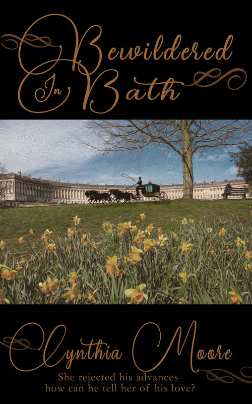 Bewildered in Bath image 0
