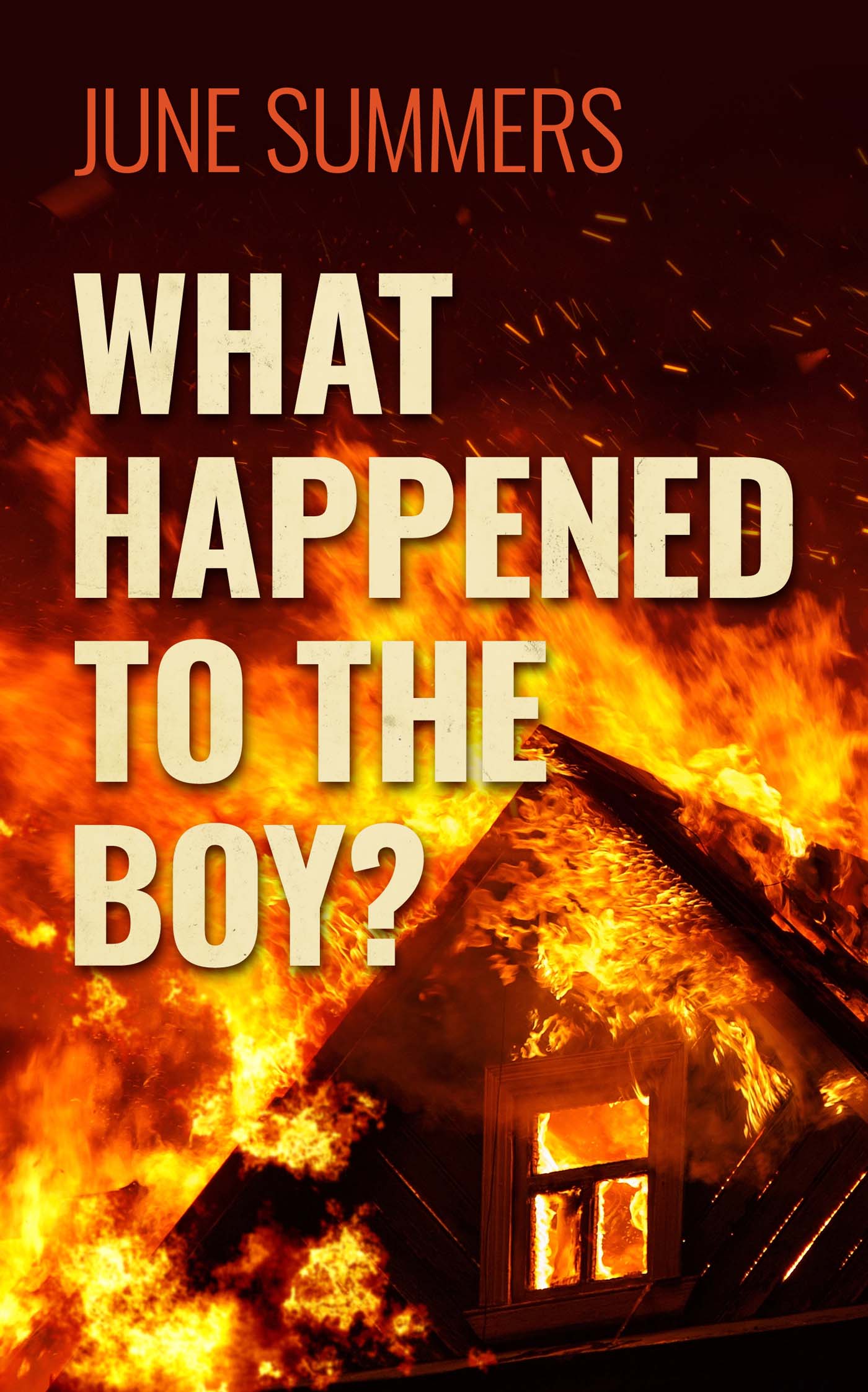 What Happened to the Boy? image 0