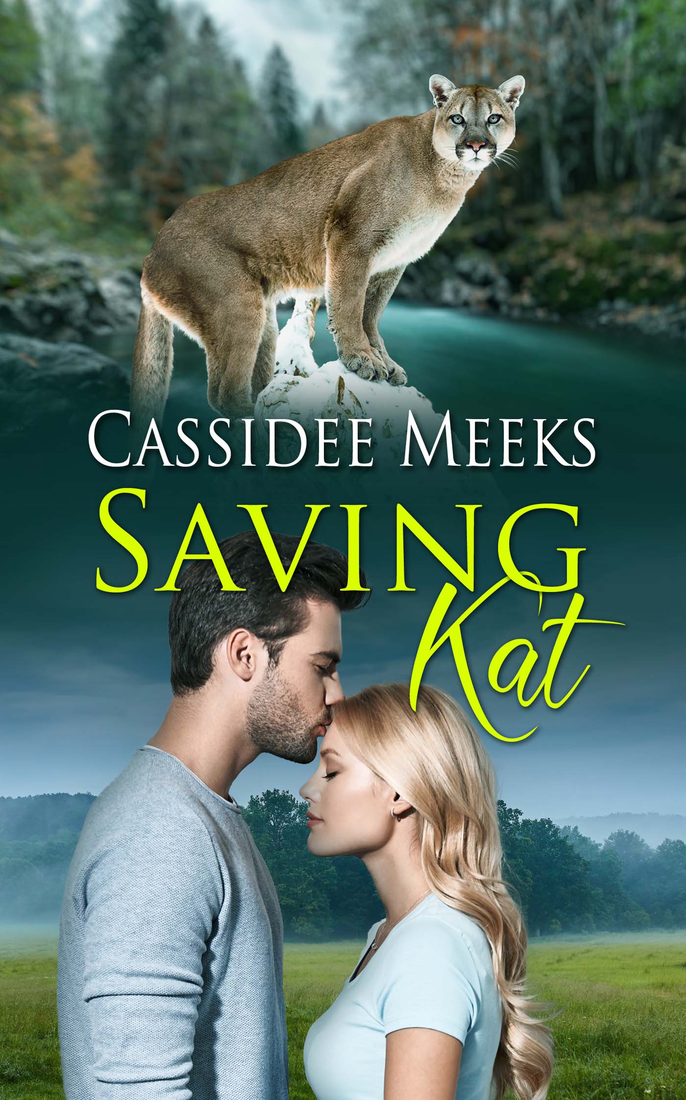 Saving Kat image 0