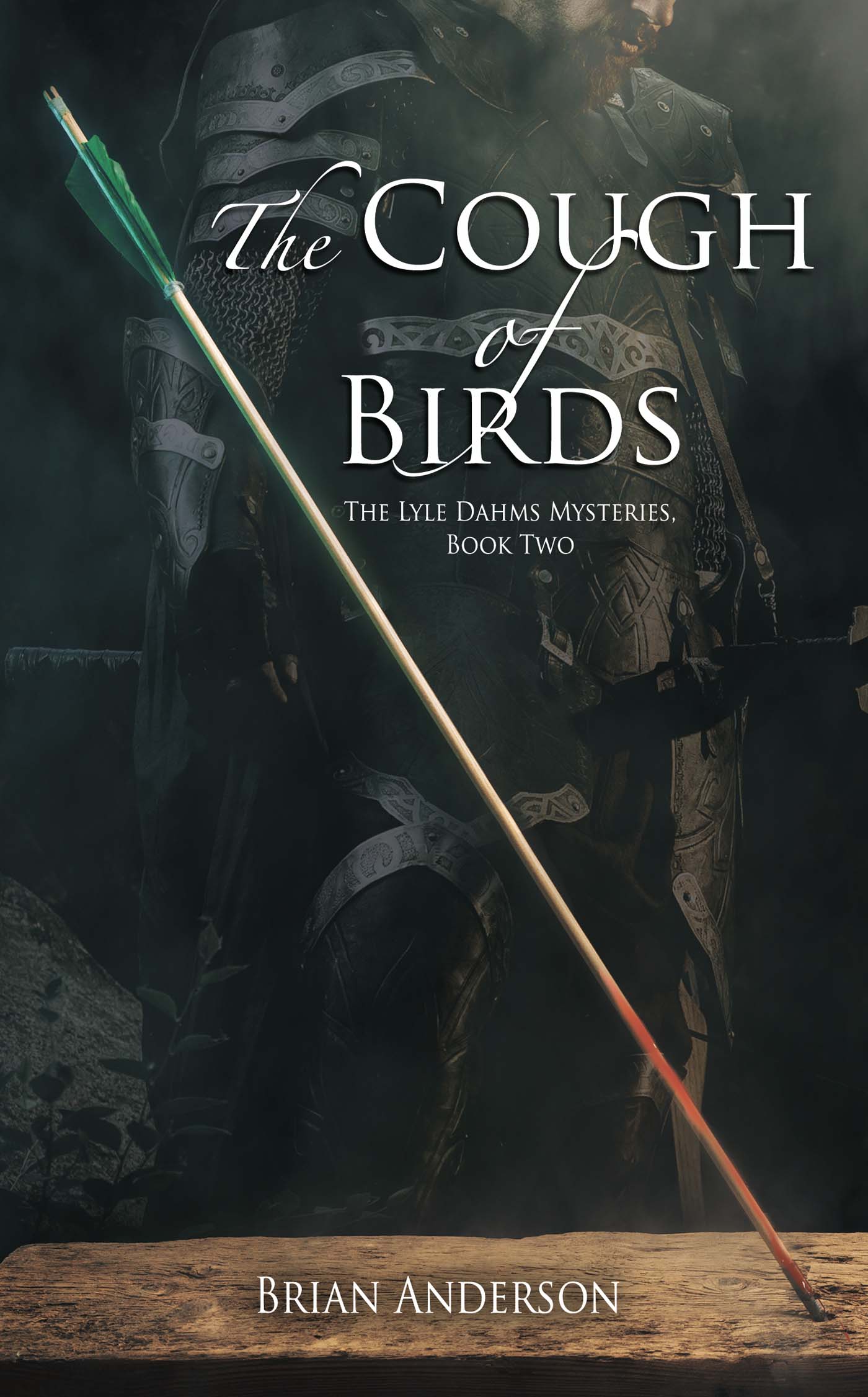 The Cough of Birds image 0