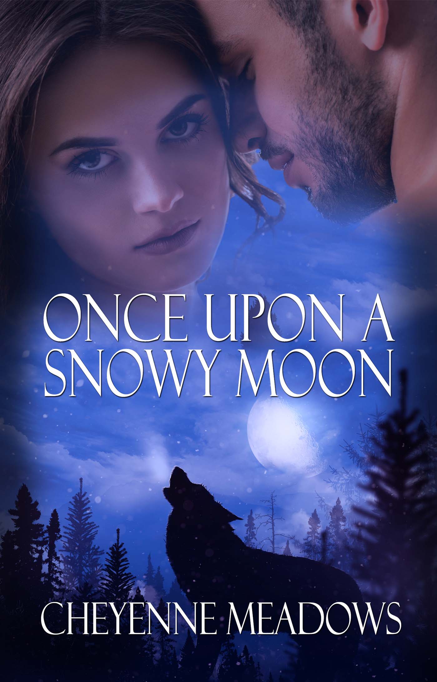 Once Upon a Snowy Moon image 0