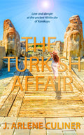 The Turkish Affair image 0