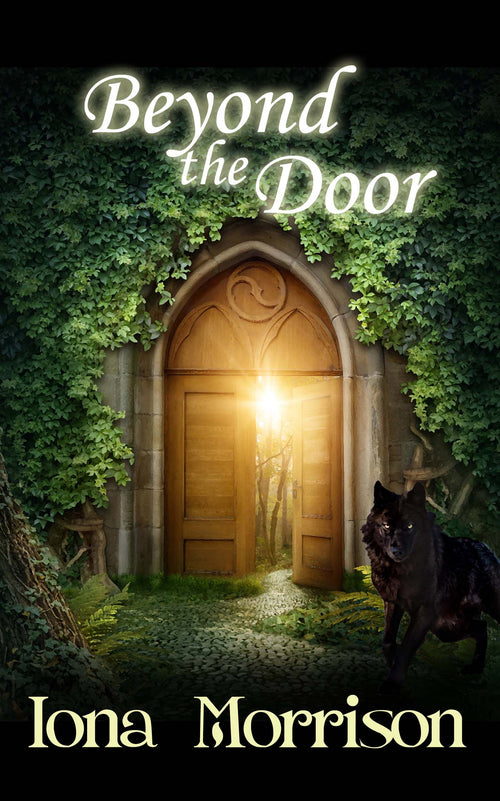 Beyond the Door image 0