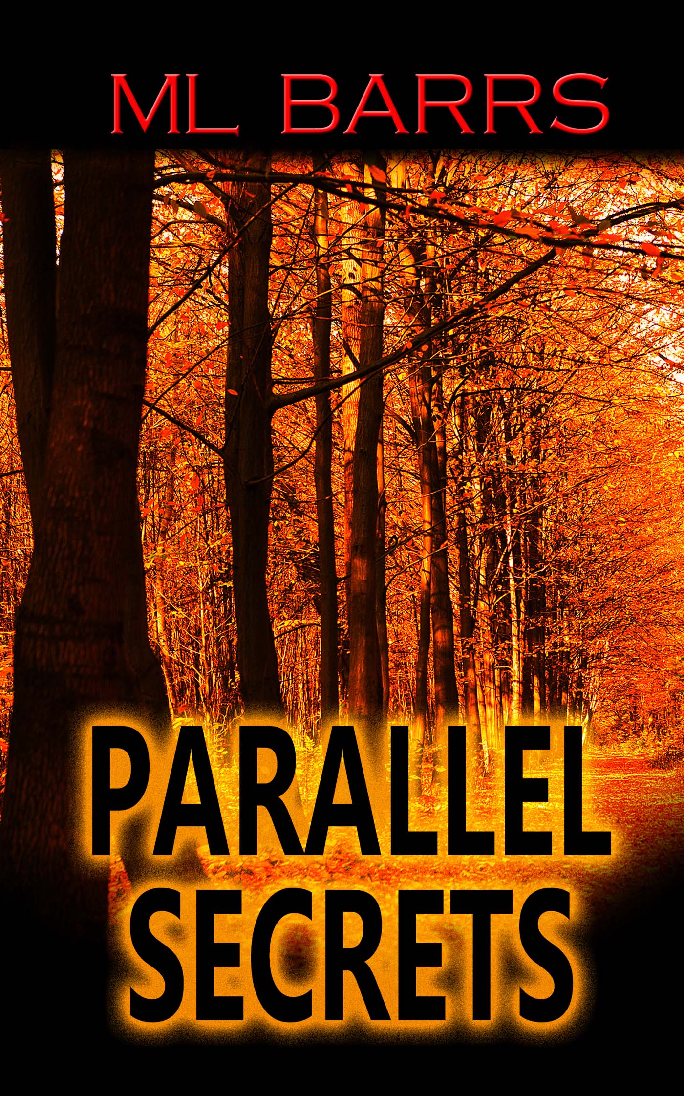 Parallel Secrets image 0