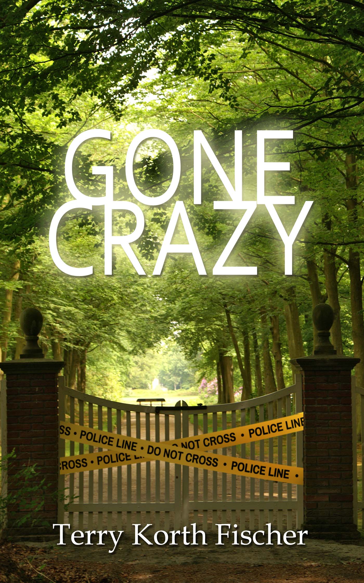 Gone Crazy image 0