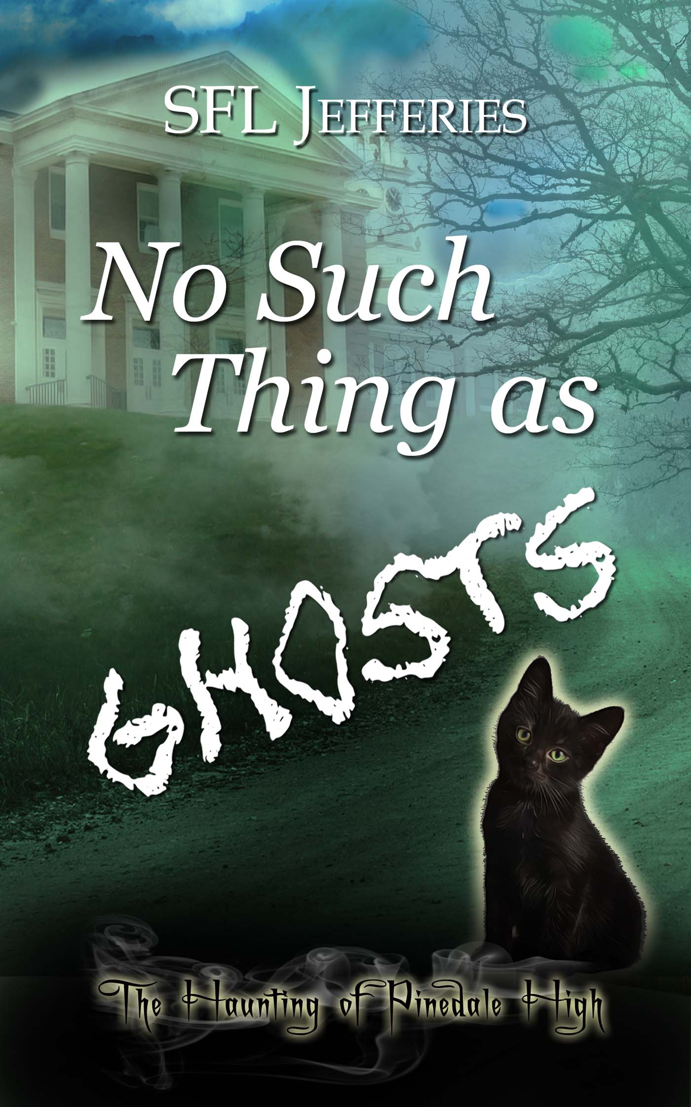 No Such Thing as Ghosts image 0