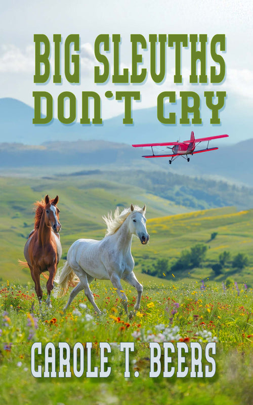 Big Sleuths Don't Cry image 0