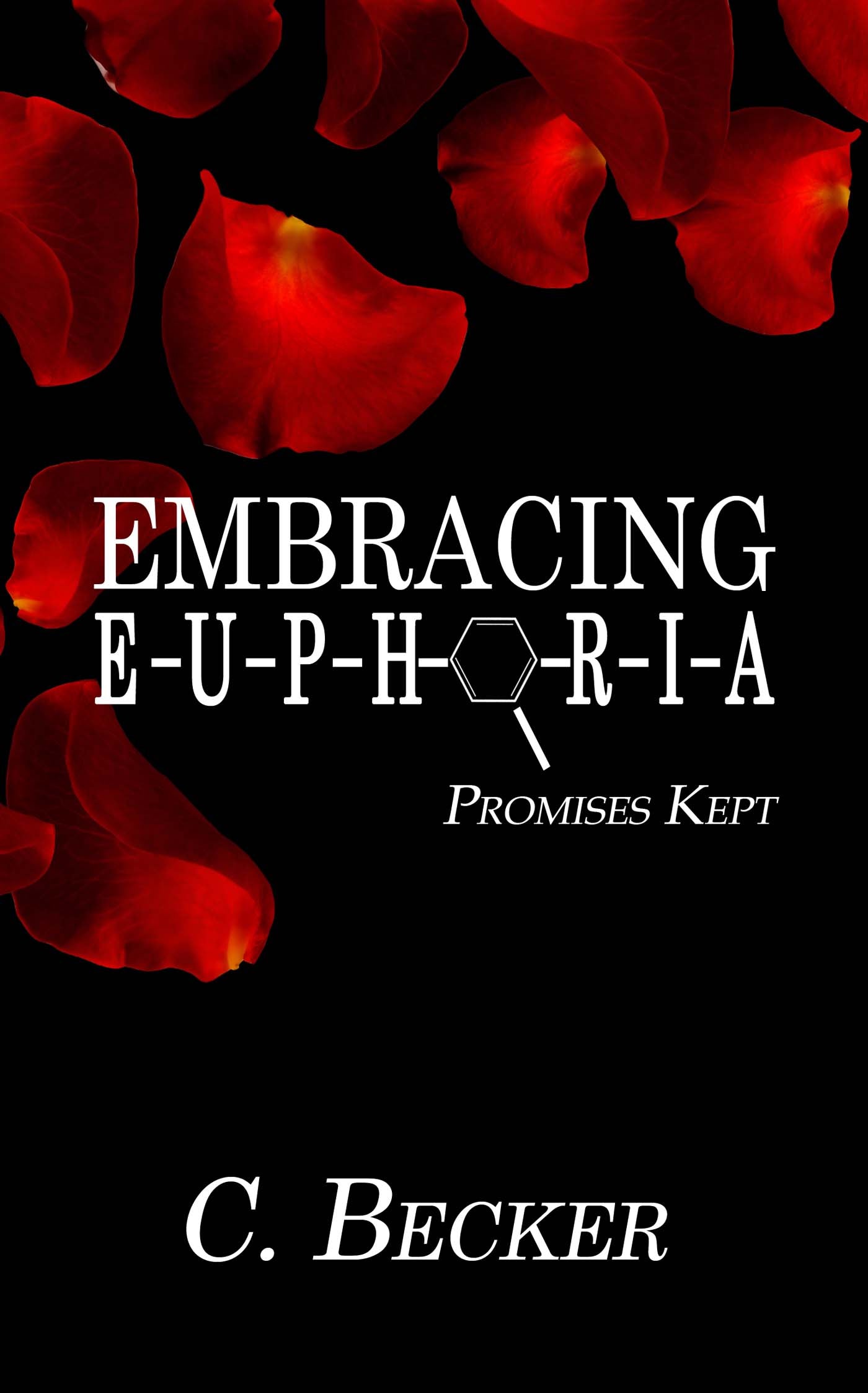 Embracing Euphoria image 0