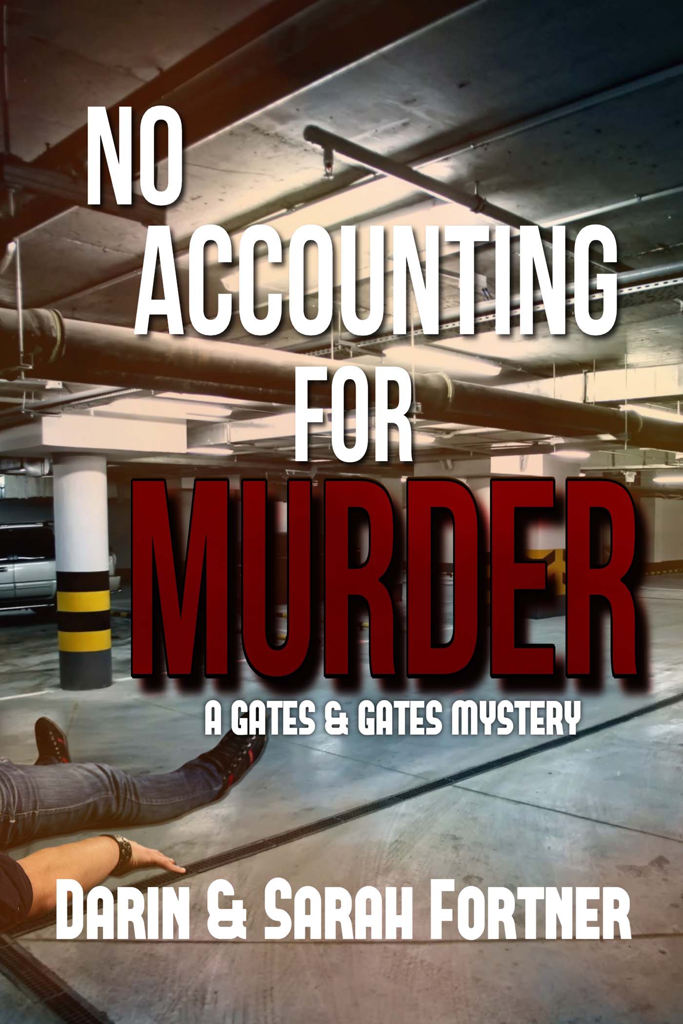 No Accounting for Murder image 0