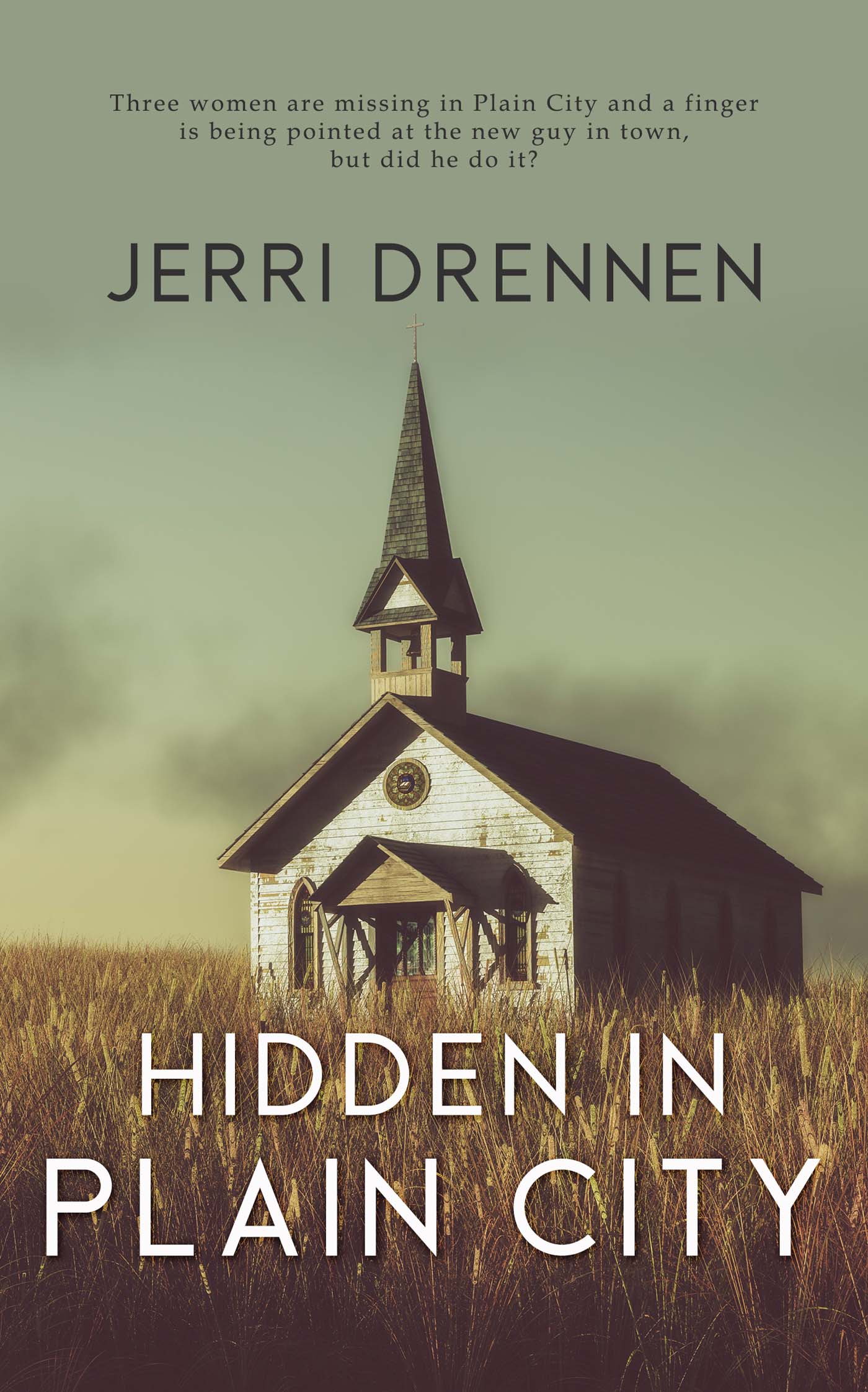 Hidden in Plain City image 0