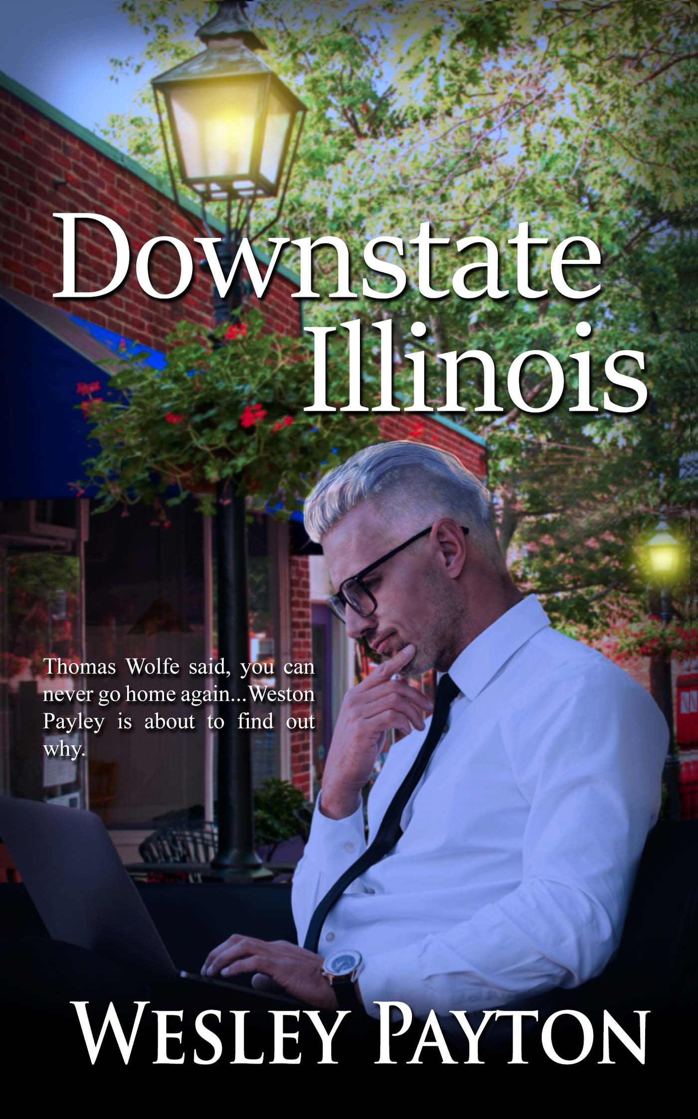 Downstate Illinois image 0