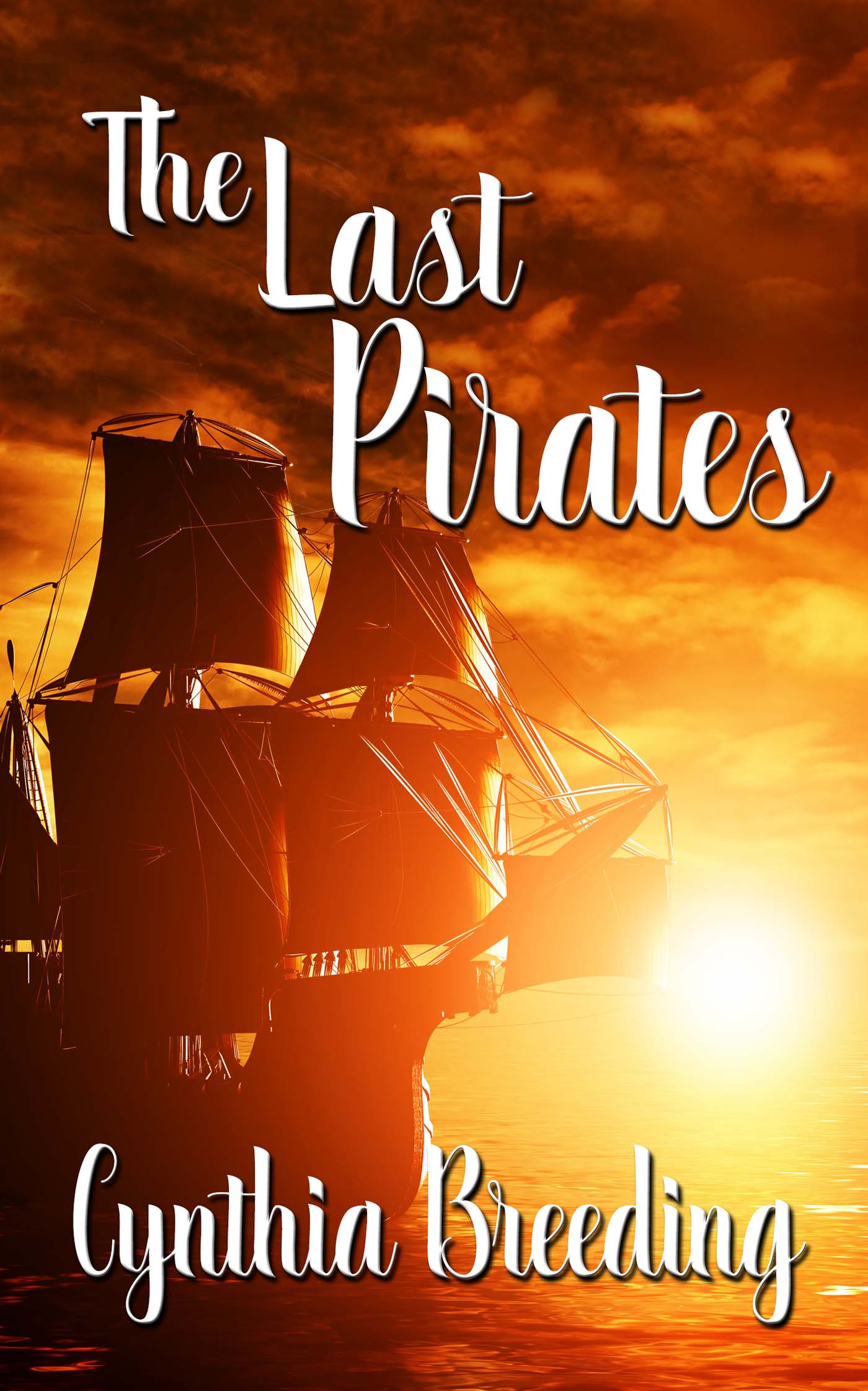 The Last Pirates image 0