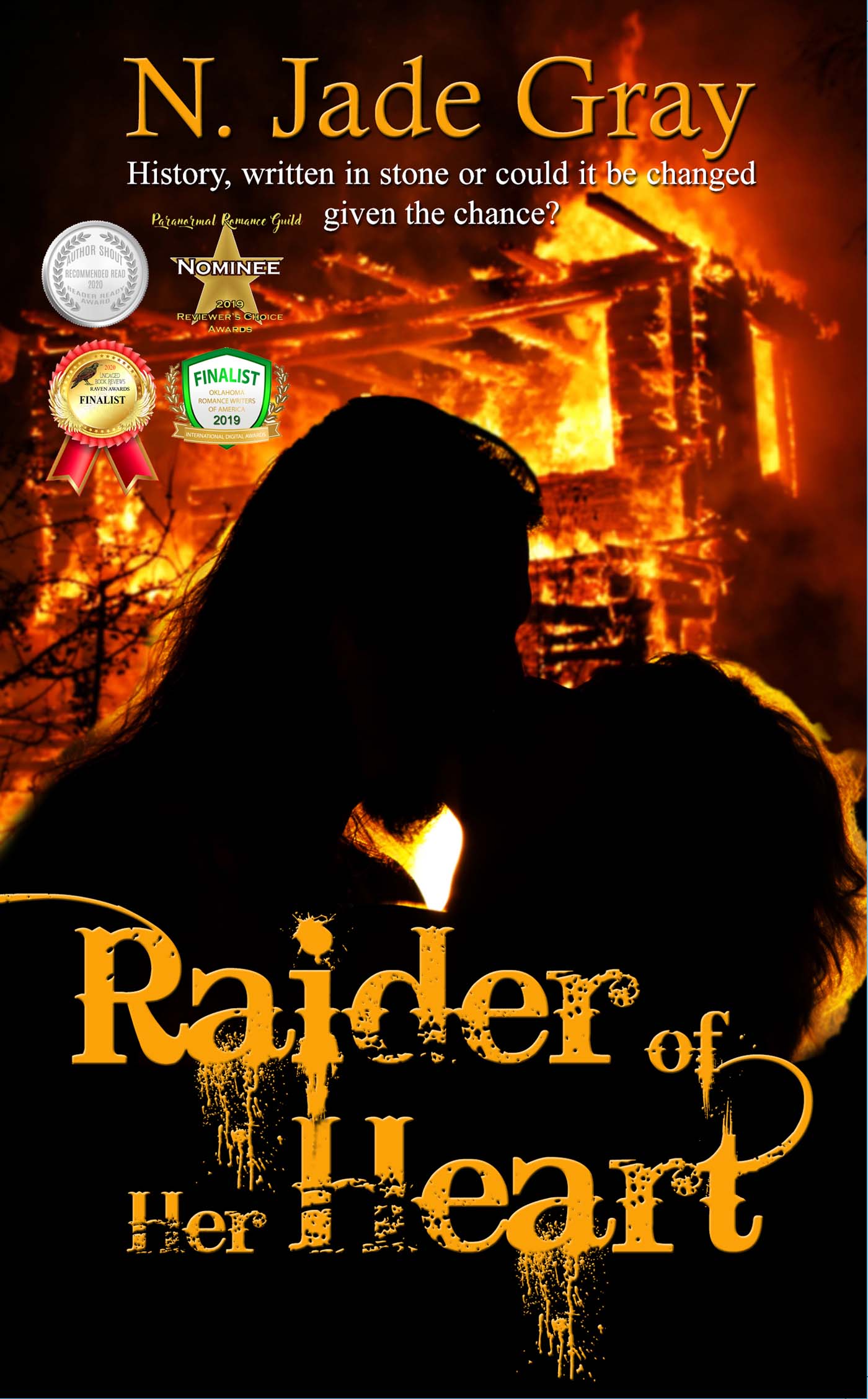 Raider of Her Heart image 0