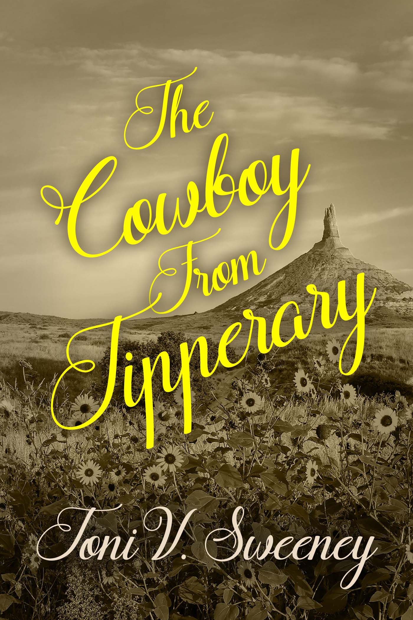 The Cowboy from Tipperary image 0