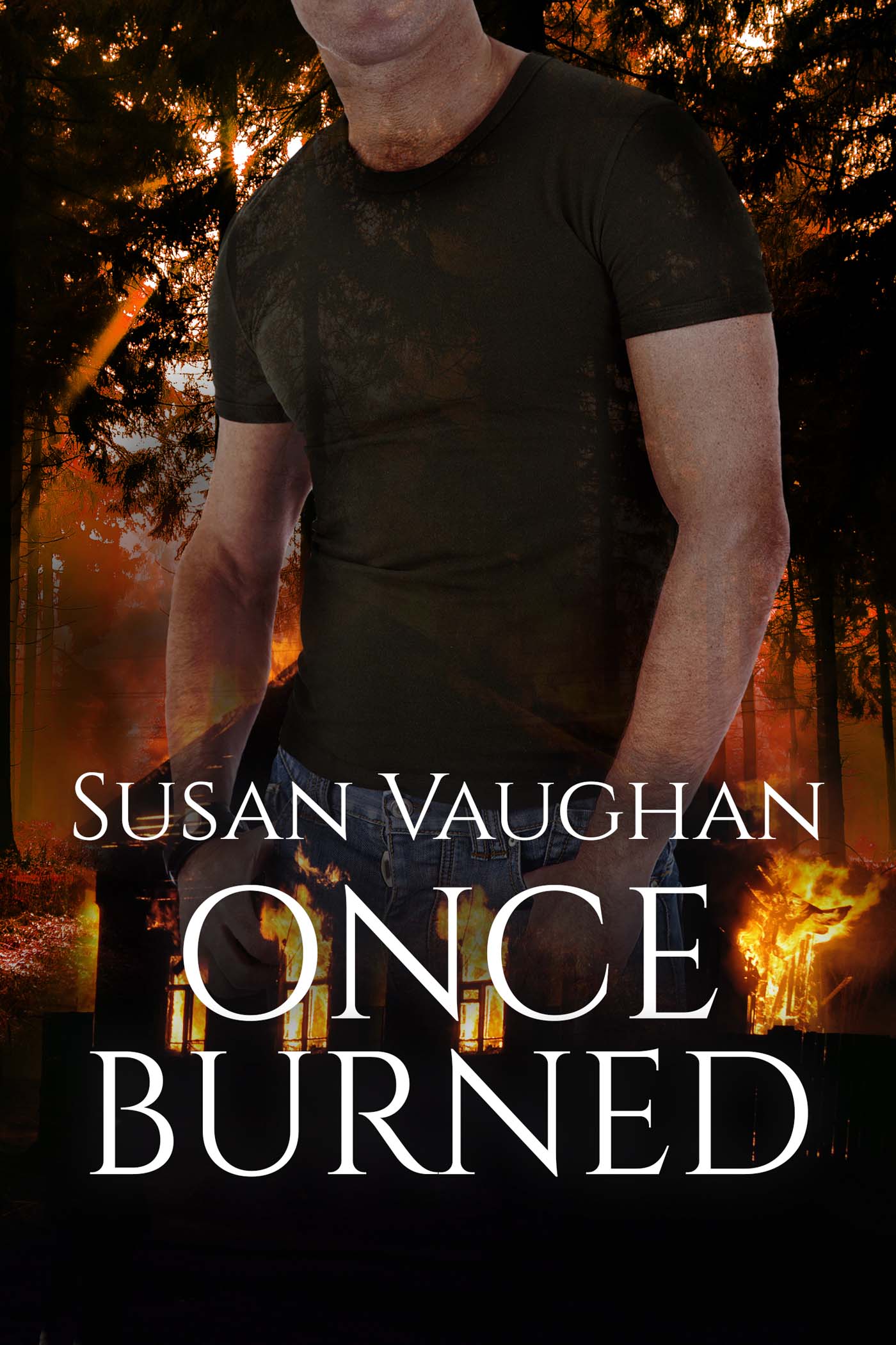 Once Burned image 0