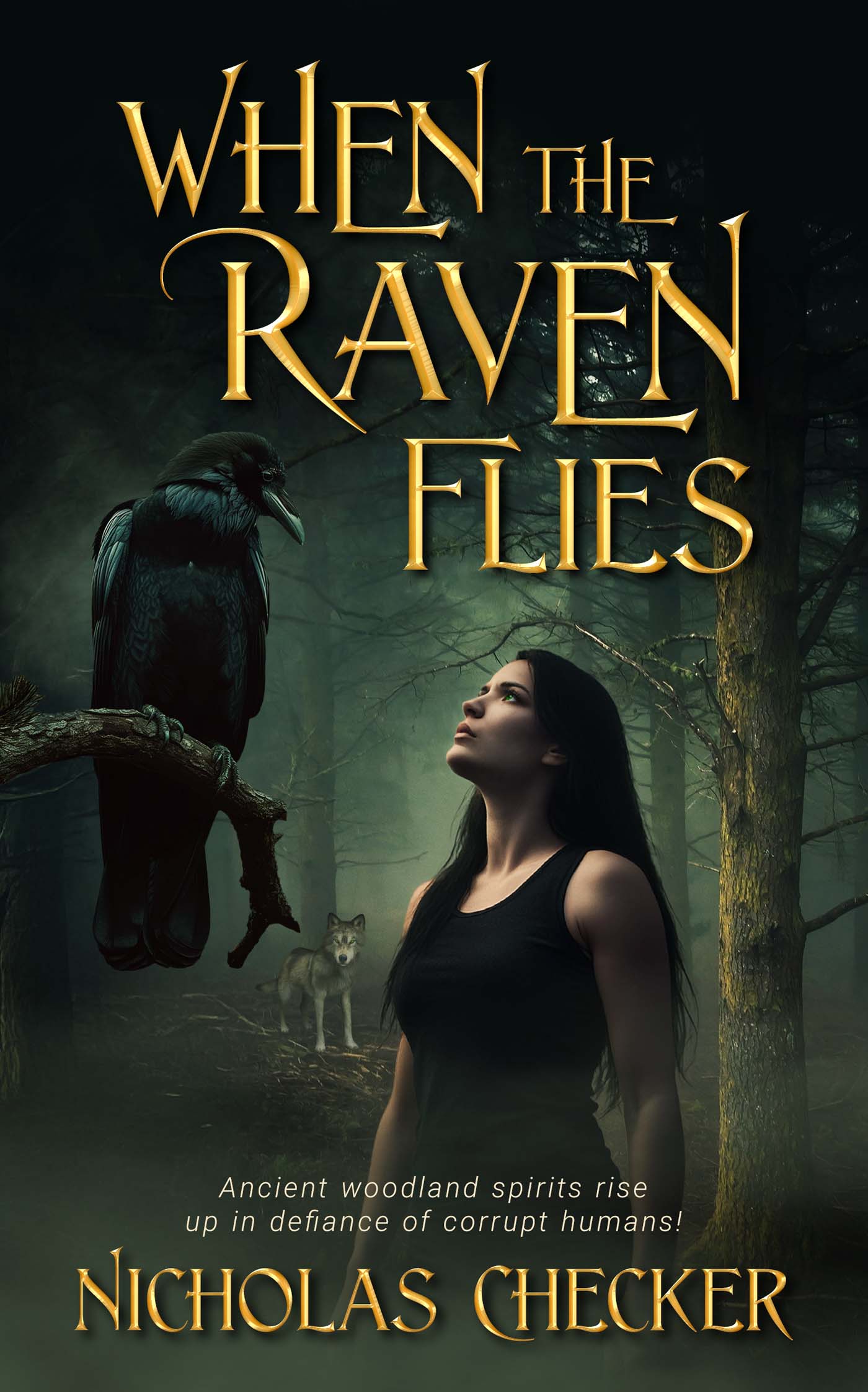 When the Raven Flies image 0