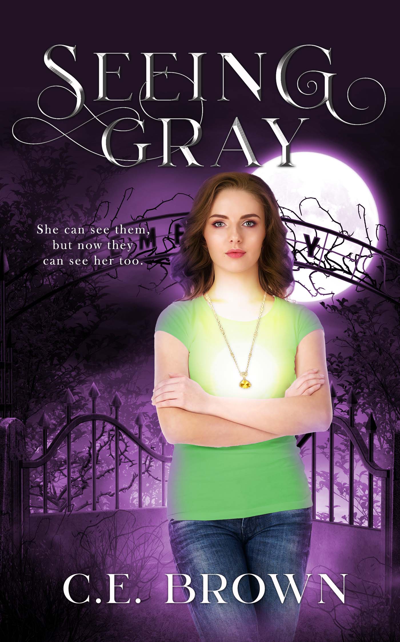 Seeing Gray image 0