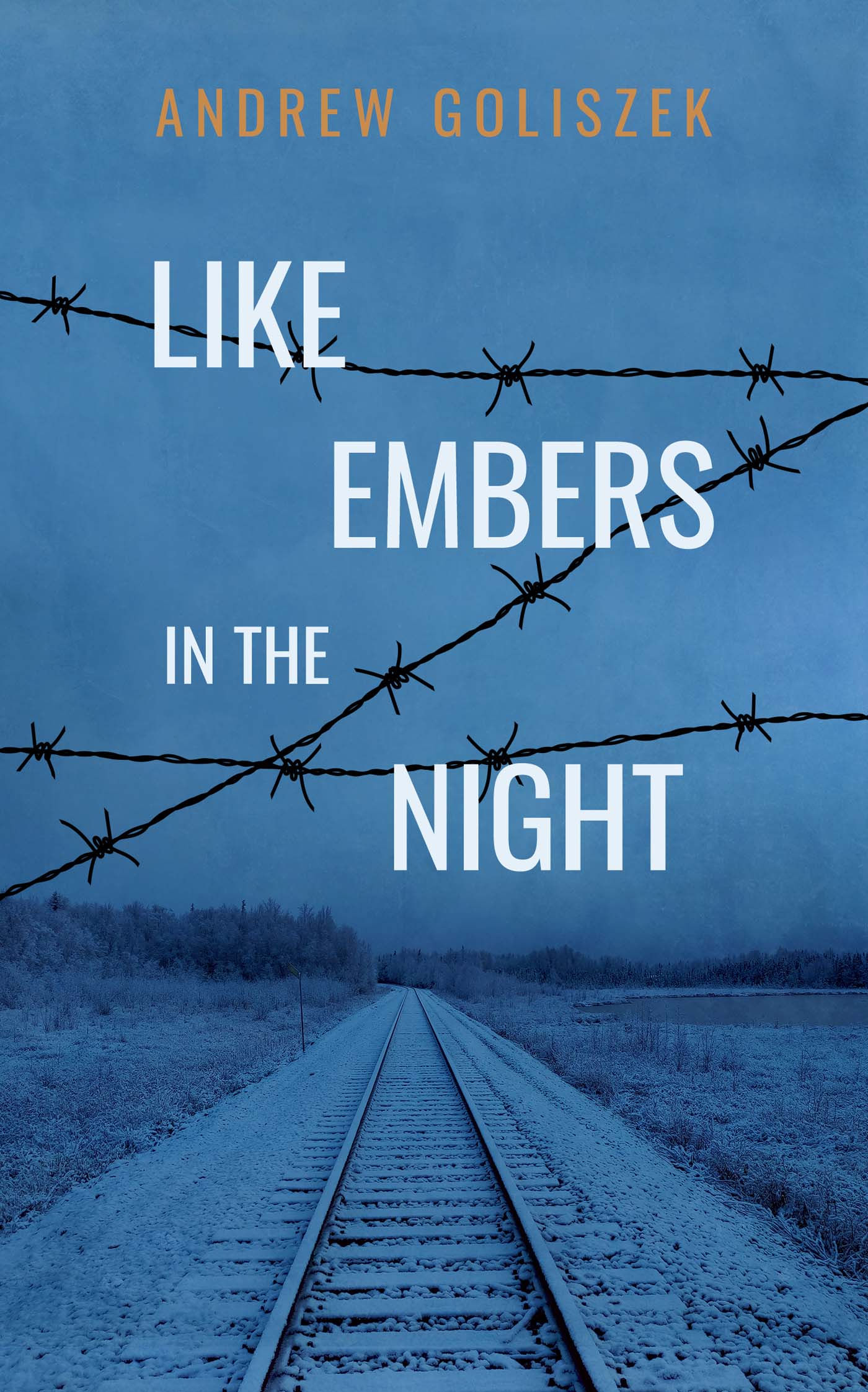 Like Embers in the Night image 0