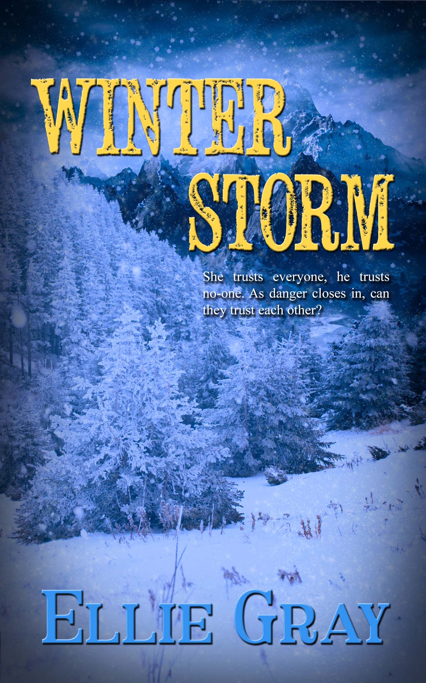 Winter Storm image 0