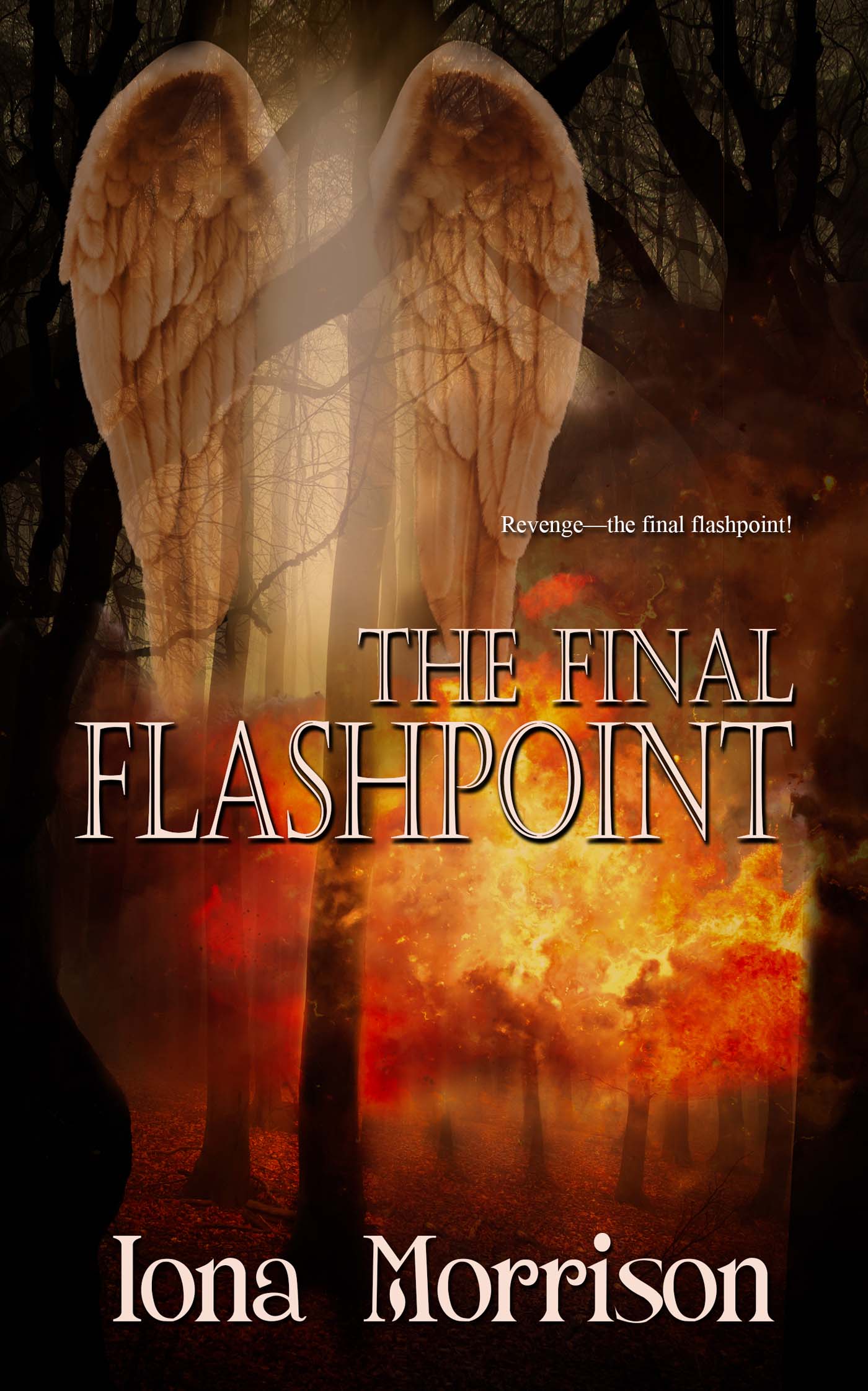The Final Flashpoint image 0