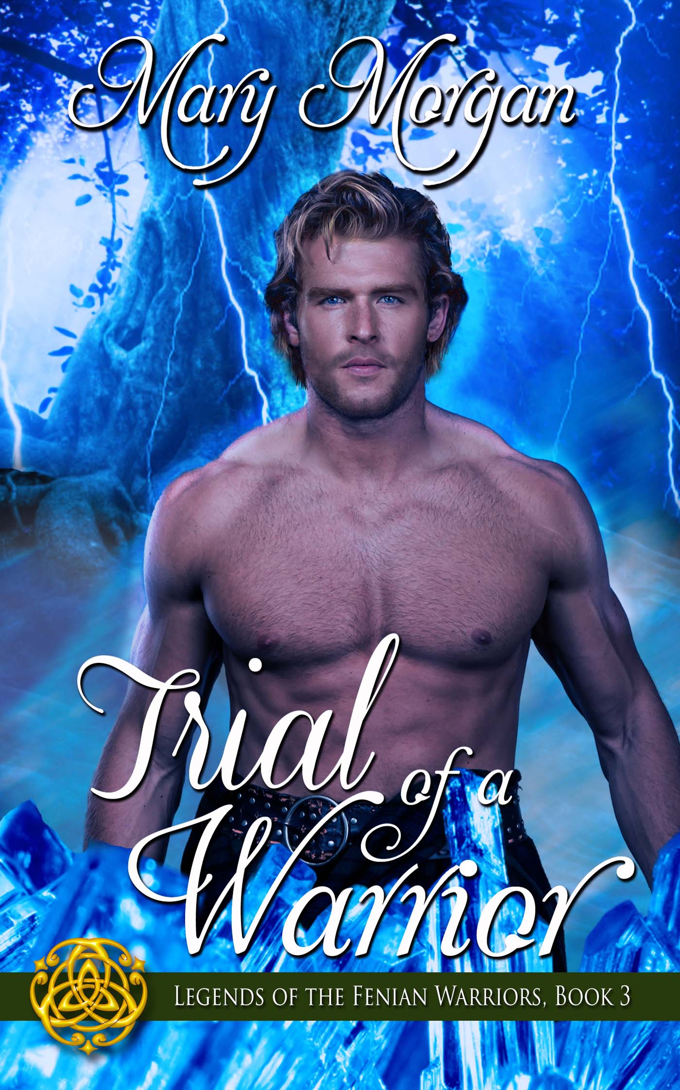 Trial of a Warrior image 0