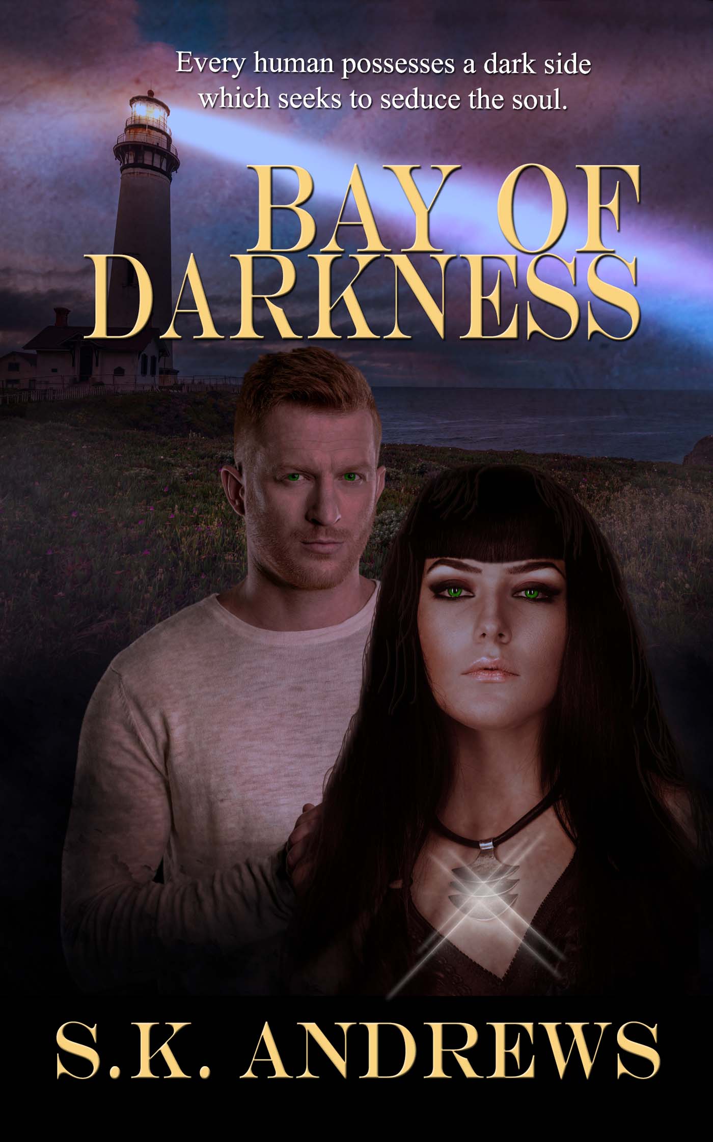 Bay of Darkness image 0